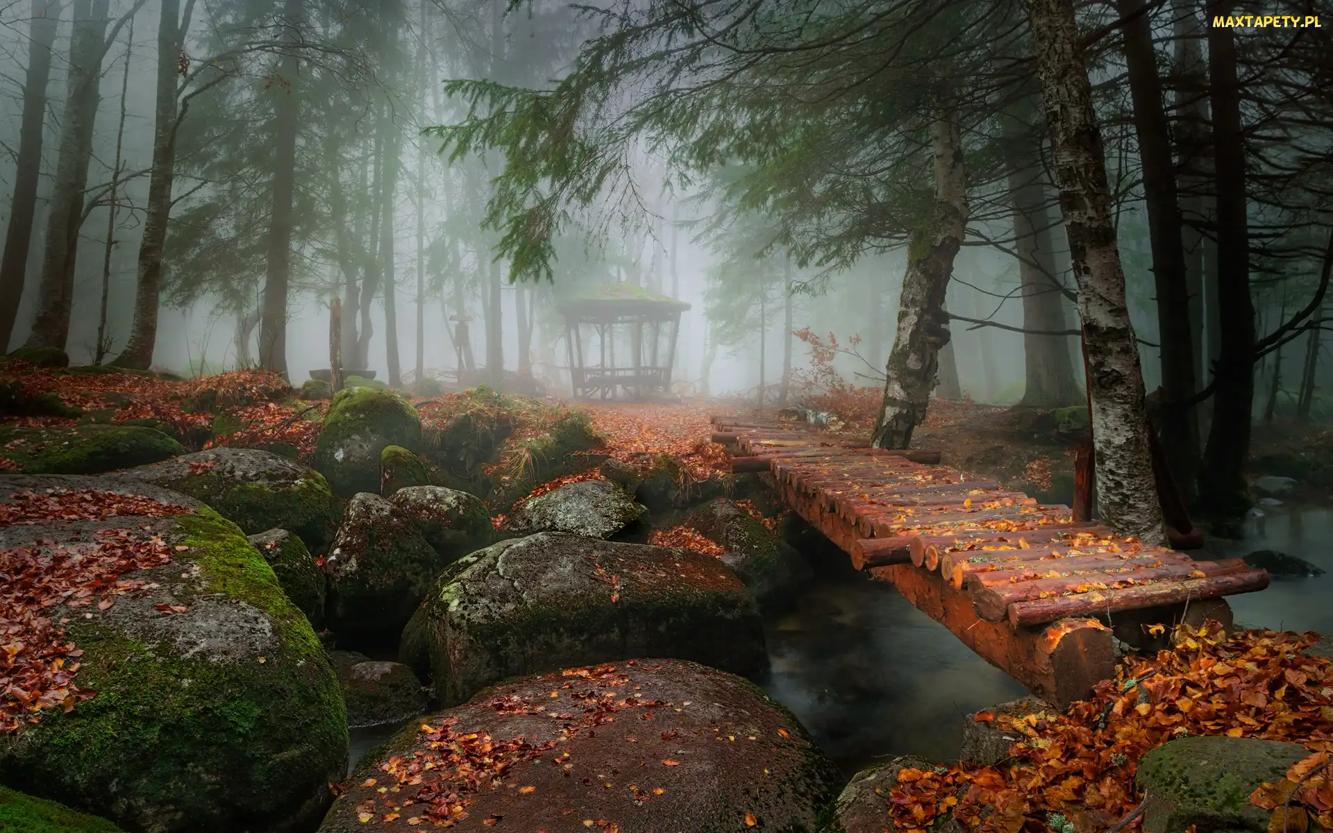 Park, Mgła, Kładka, Altanka, Liście, Kamienie, Las, Rzeka, Omszałe