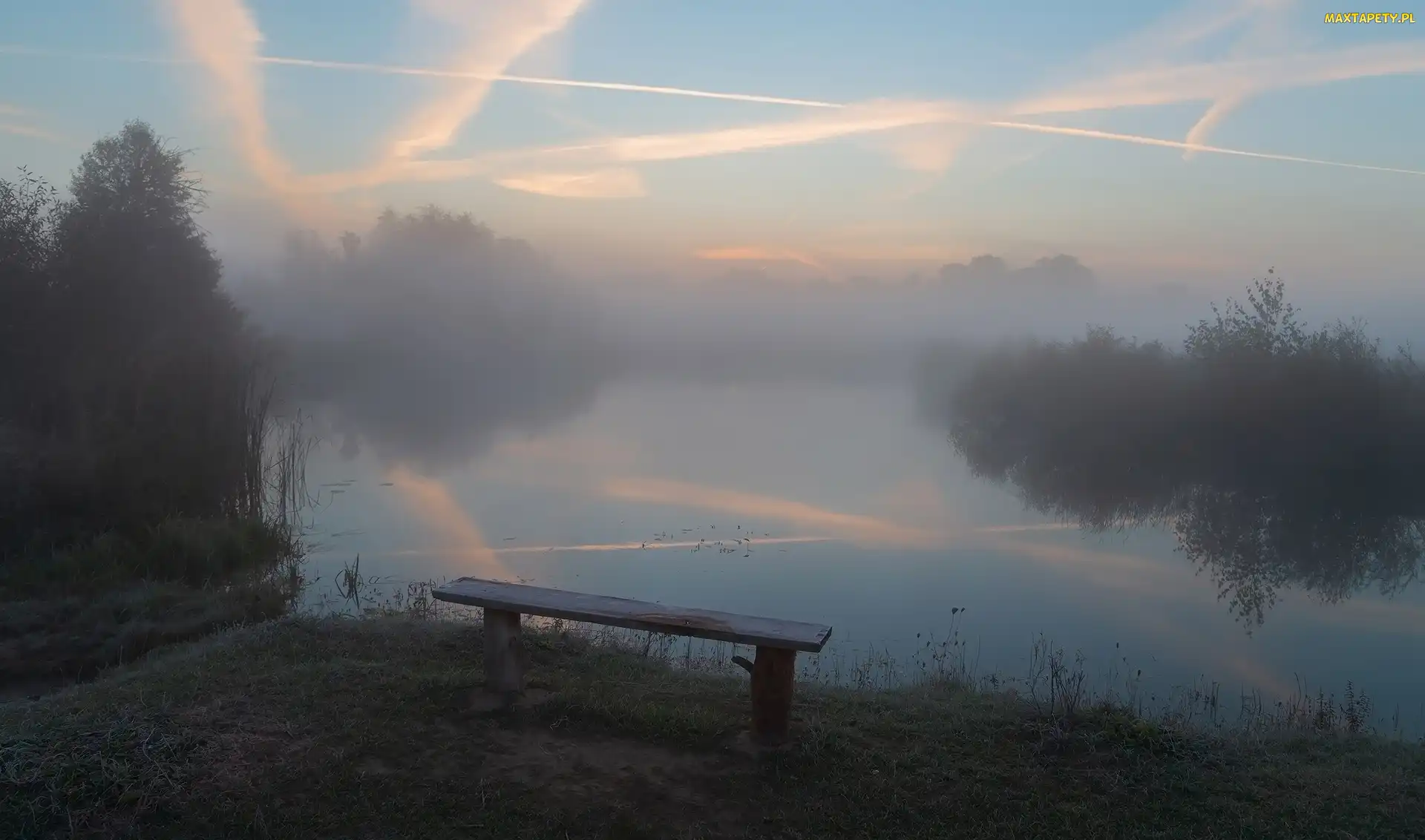 Ławka, Drzewa, Jezioro, Mgła