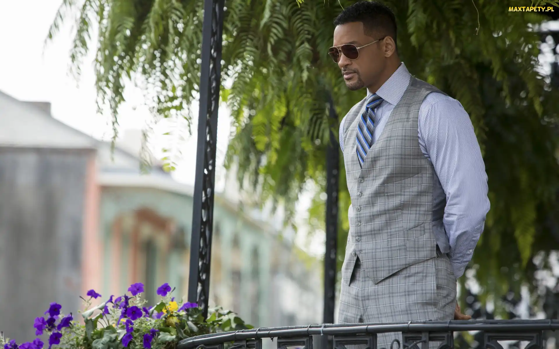 Focus, Film, Aktor, Mężczyzna, Will Smith, Okulary