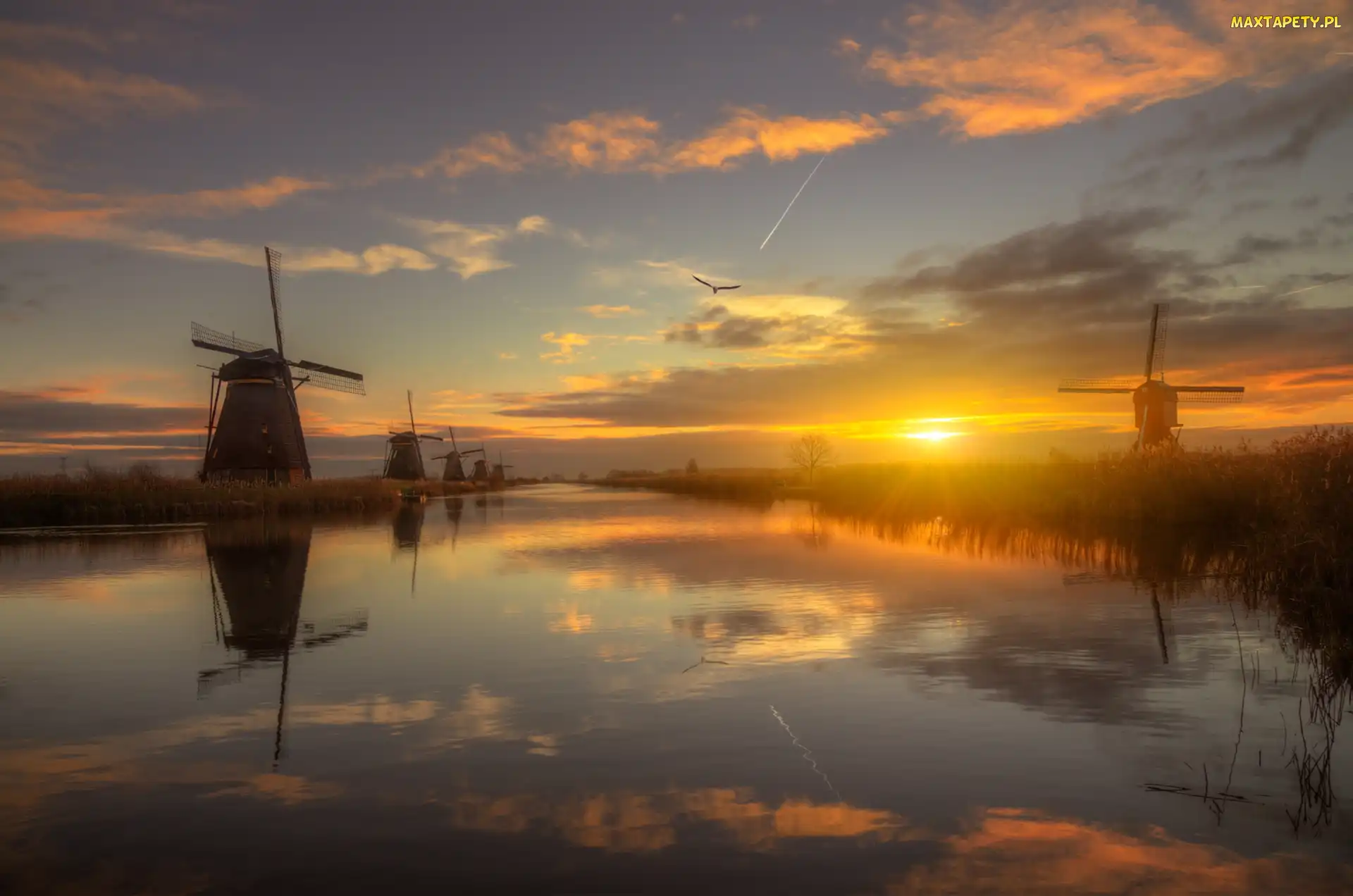 Holandia, Wieś Kinderdijk, Wiatraki, Rzeka, Wschód słońca, Chmury