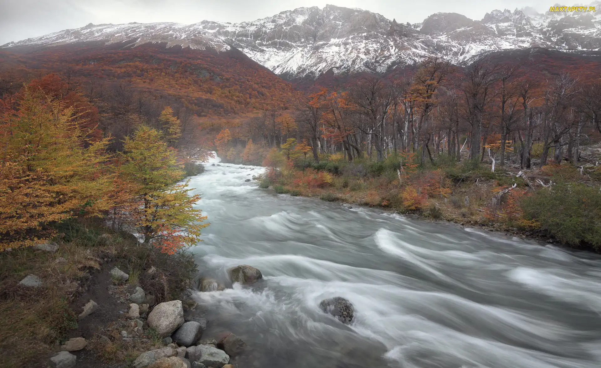 Patagonia, Park Narodowy Los Glaciares, Góry Andy, Argentyna, Drzewa, Rzeka Las Vueltas, Las
