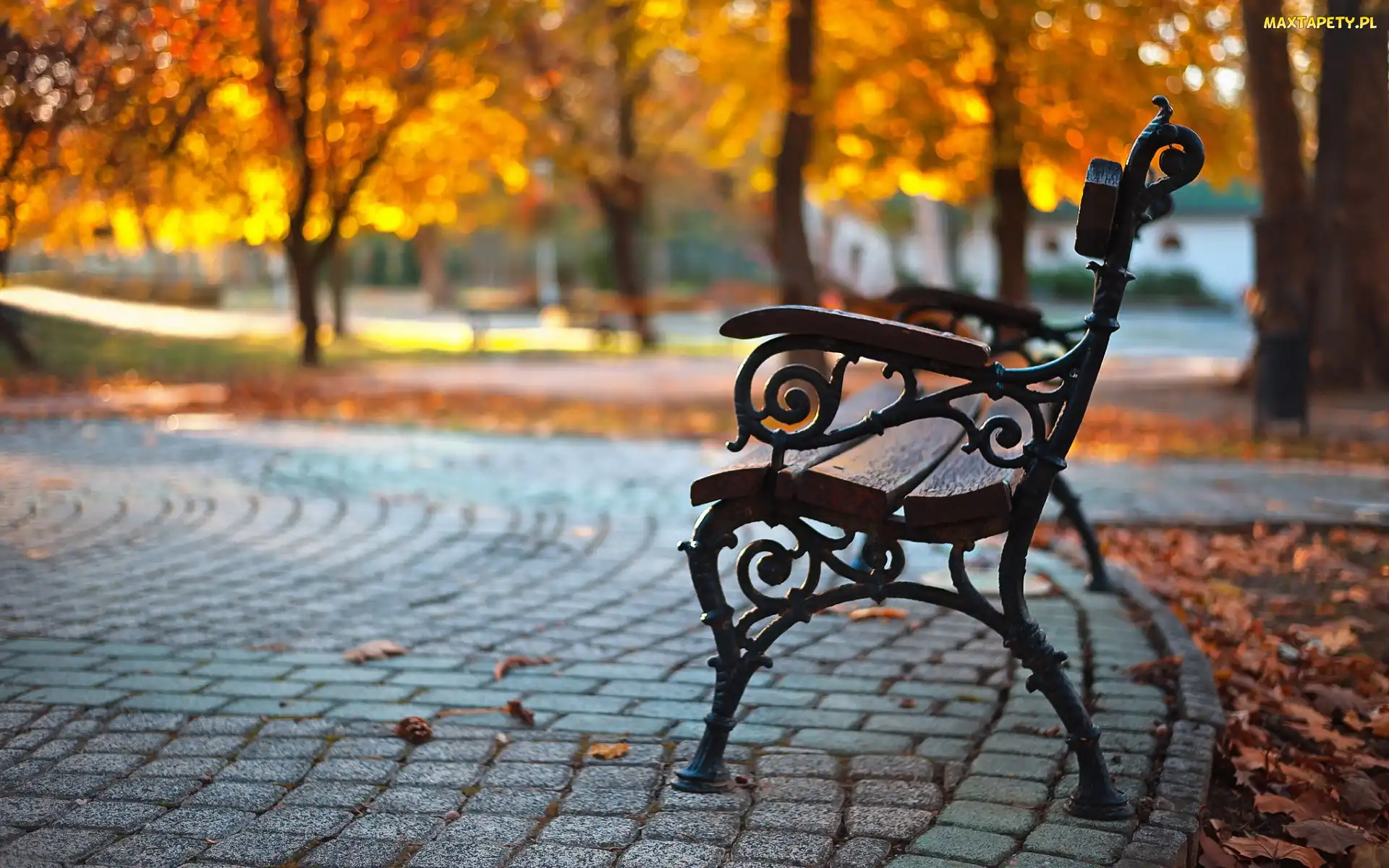 Ławka, Alejka, Jesień, Park