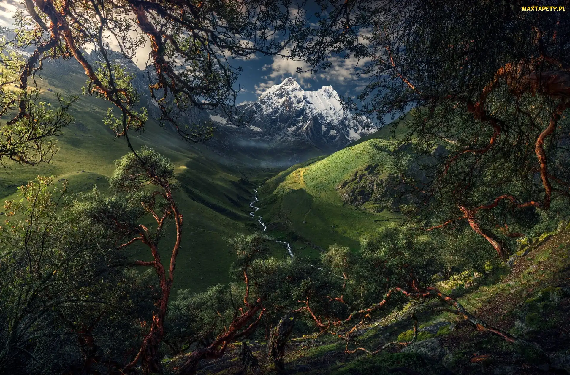 Park Narodowy Huascaran, Dolina, Góry, Peru, Rzeka, Drzewa, Kordyliera Biała