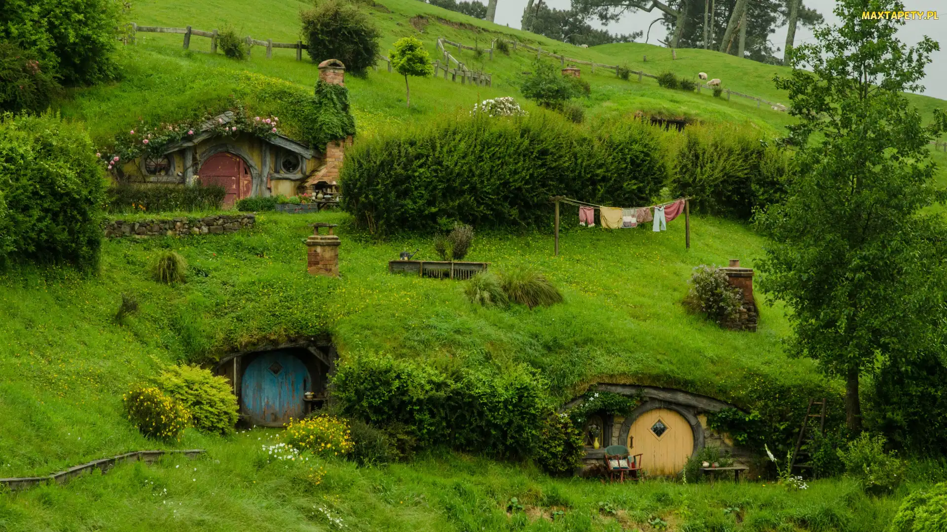 Miejscowość Matamata, Hobbit, Atrakcja turystyczna, Nowa Zelandia, Domy, Plan filmowy Hobbiton, Wzgórze