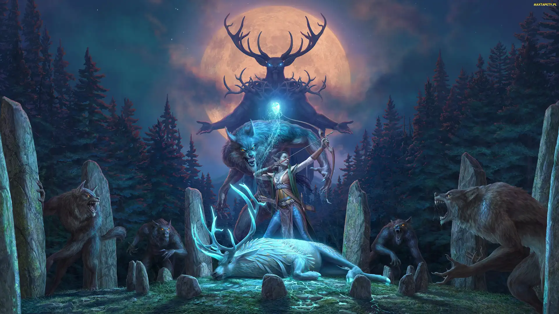 Gra, The Elder Scrolls Online Wolfhunter, Las, Elf, Wilkołaki, Fantasy