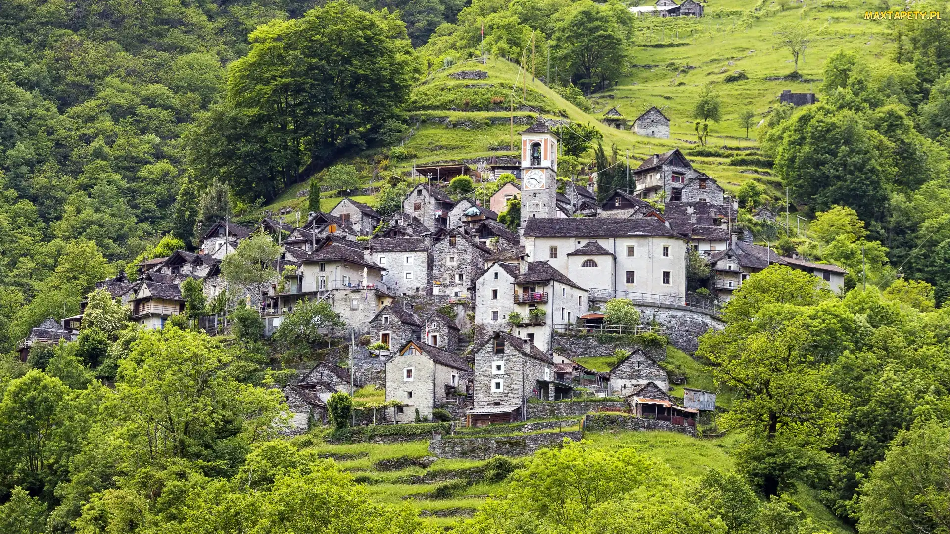 Szwajcaria, Kanton Tessin, Corippo, Locarno, Zieleń, Stok, Roślinność, Drzewa, Wzgórza, Domy