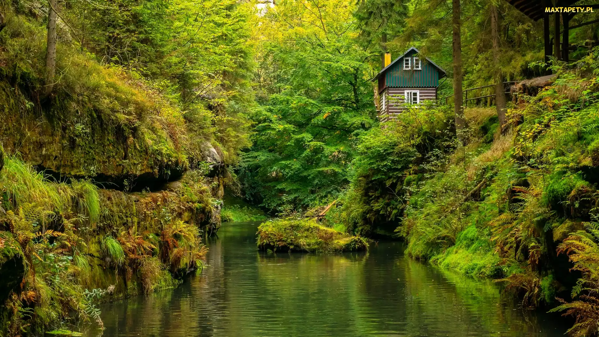 Park Narodowy Czeska Szwajcaria, Rzeka Kamienica, Drzewa, Czechy, Dom, Roślinność, Skała