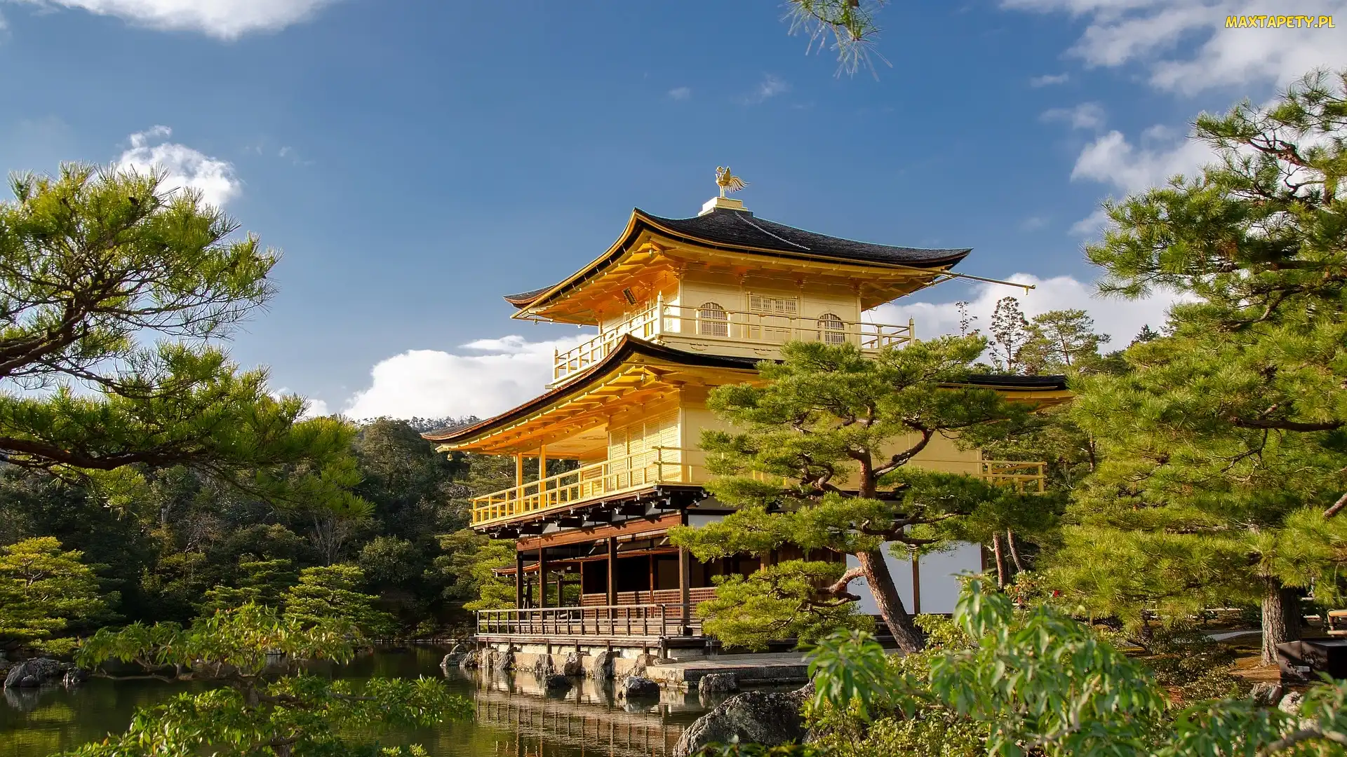 Kioto, Staw Kyko chi, Rokuon-ji, Japonia, Drzewa, Świątynia Kinkaku-ji, Złoty Pawilon