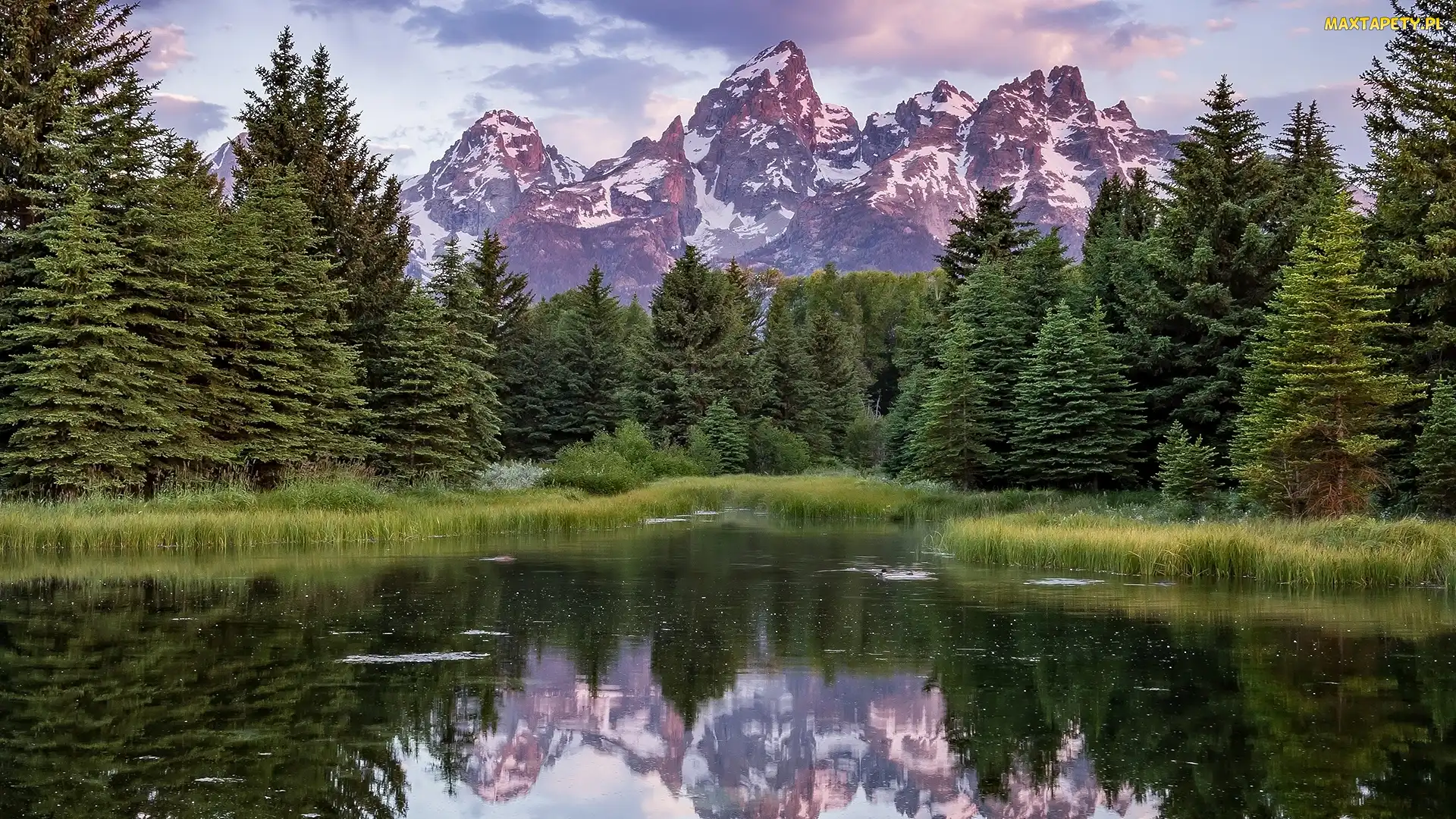 Rzeka Snake River, Trawy, Park Narodowy Grand Teton, Drzewa, Stan Wyoming, Góry Teton Range, Stany Zjednoczone, Odbicie