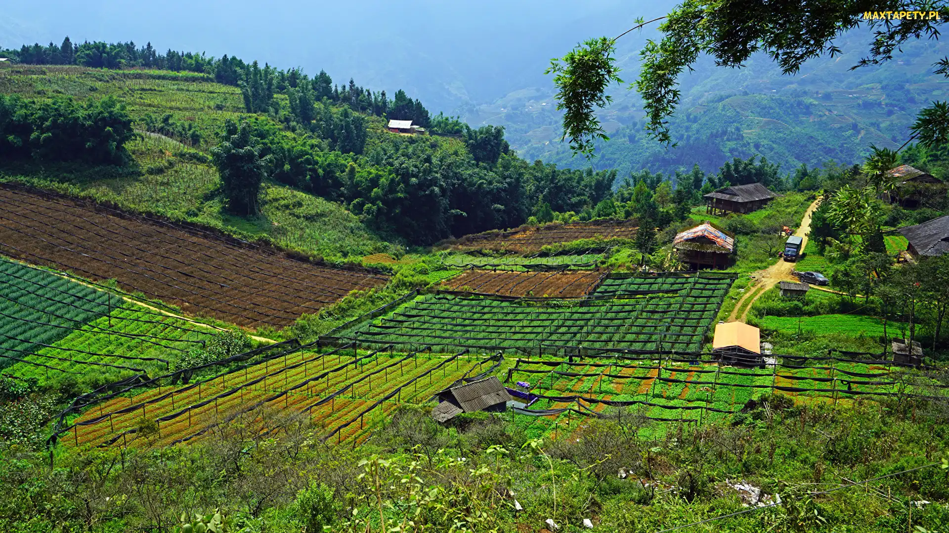 Wietnam, Sapa, Pola, Wzgórza, Domy, Dolina Muong Hoa Valley