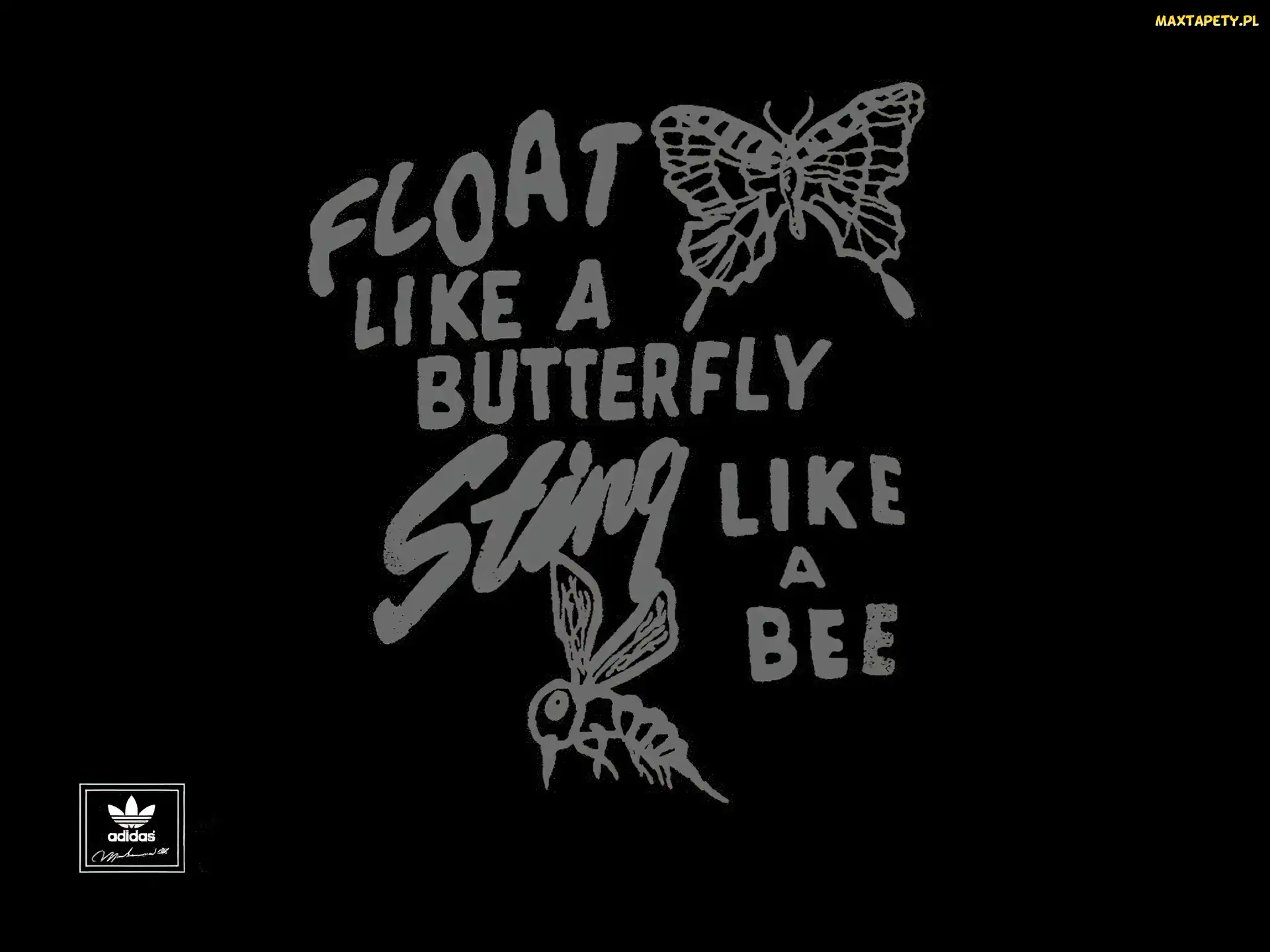 pszczoła, motyl, Adidas