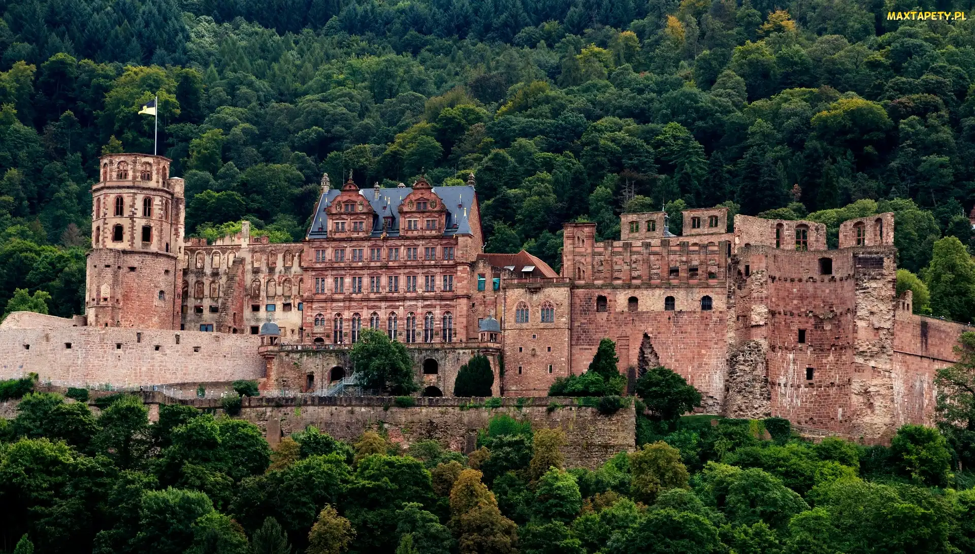 Heidelberger Schloss, Niemcy, Heidelberg, Drzewa, Zamek w Heidelbergu