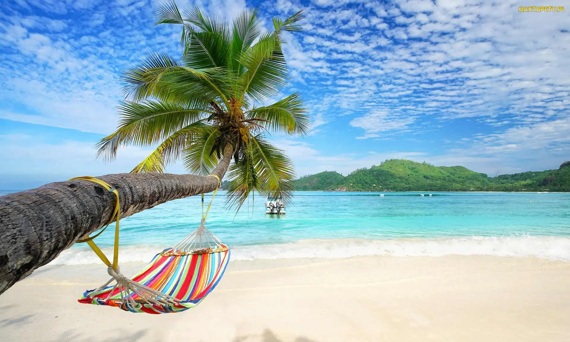 Hamak, Palma, Plaża, Tropiki, Pochylona, Wakacje, Morze