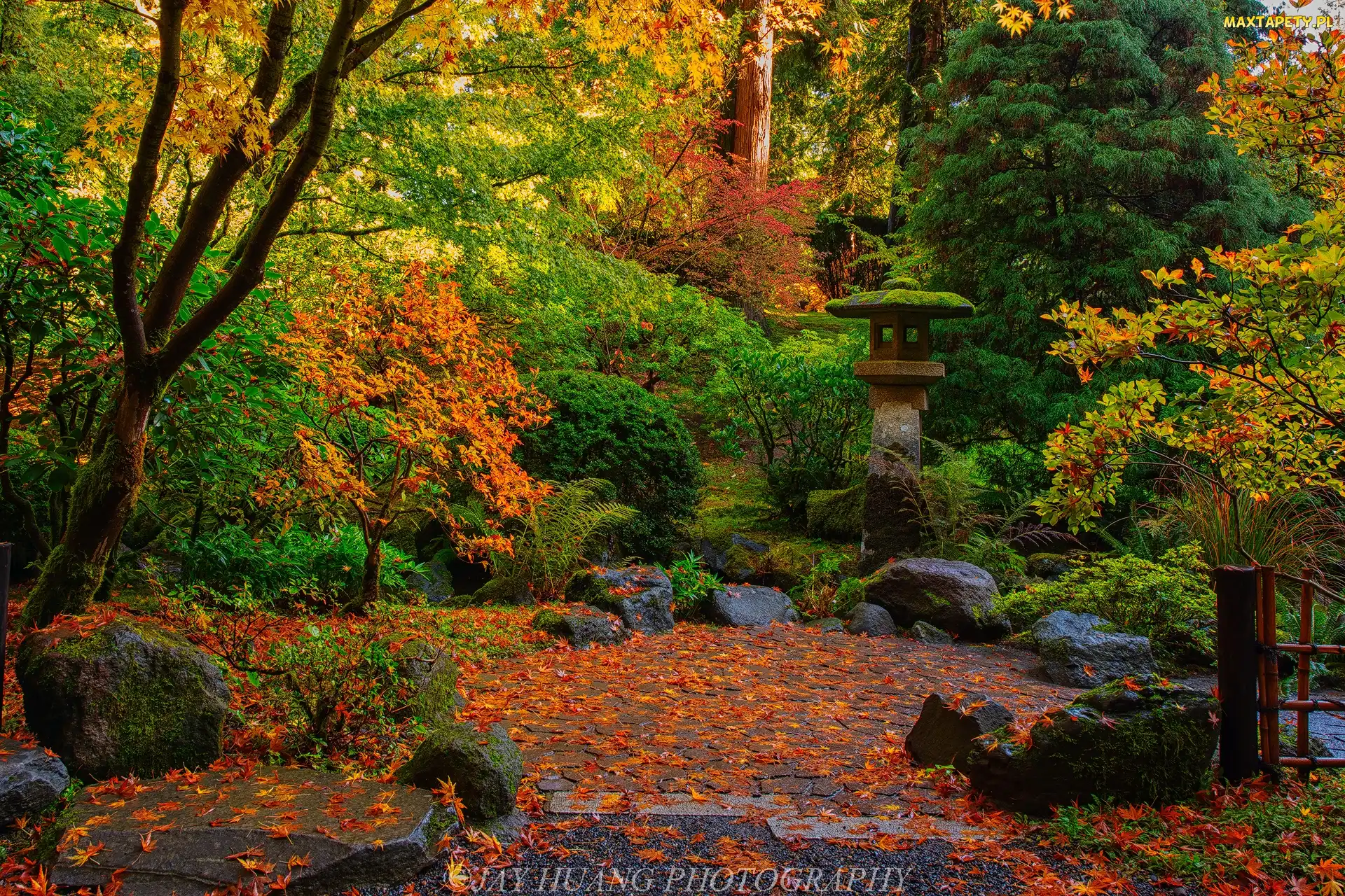 Drzewa, Portland Japanese Garden, Ogród japoński, Jesień, Oregon, Krzewy, Stany Zjednoczone, Portland