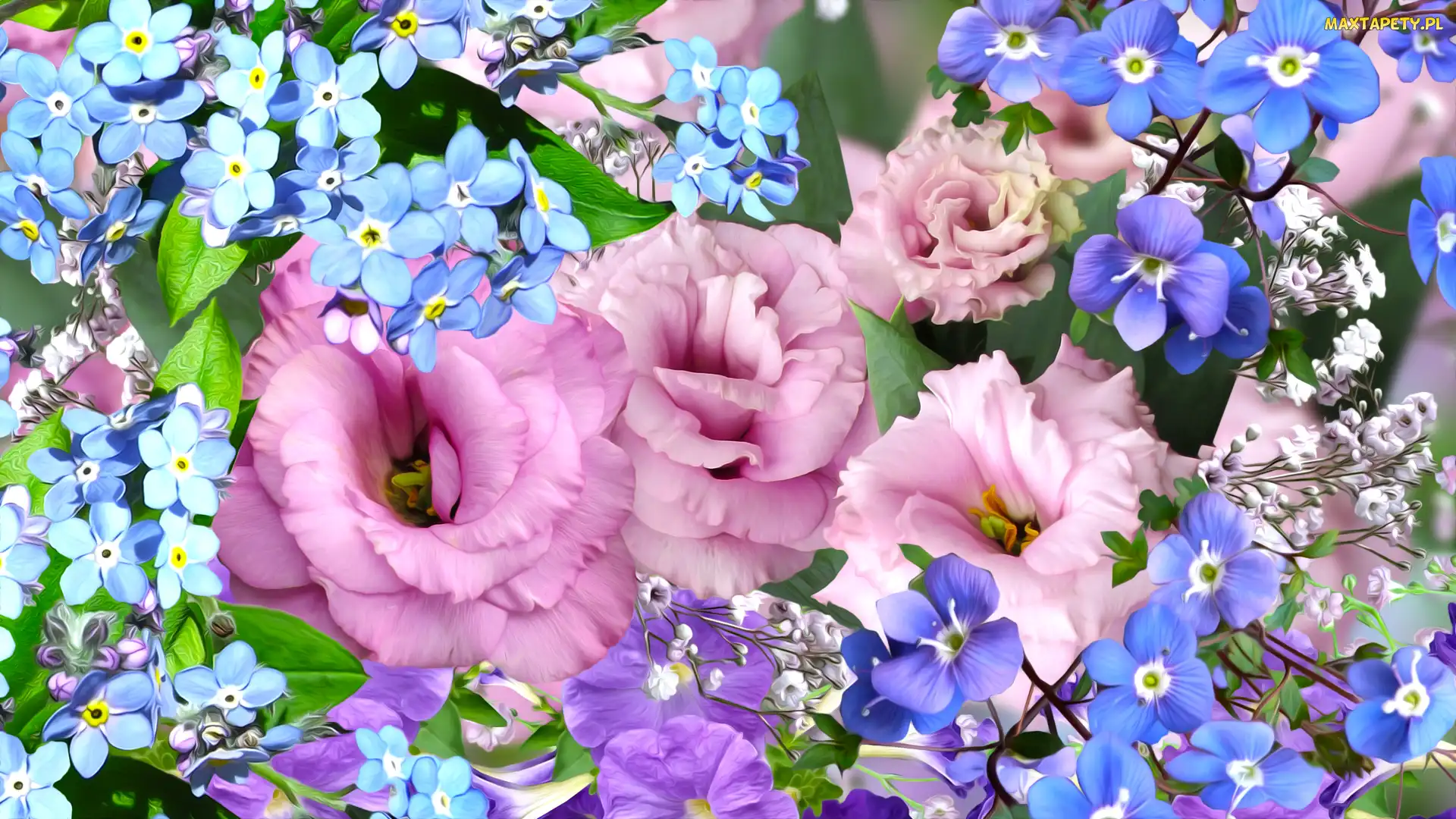 Grafika, Niezapominajki, Kwiaty, Eustoma