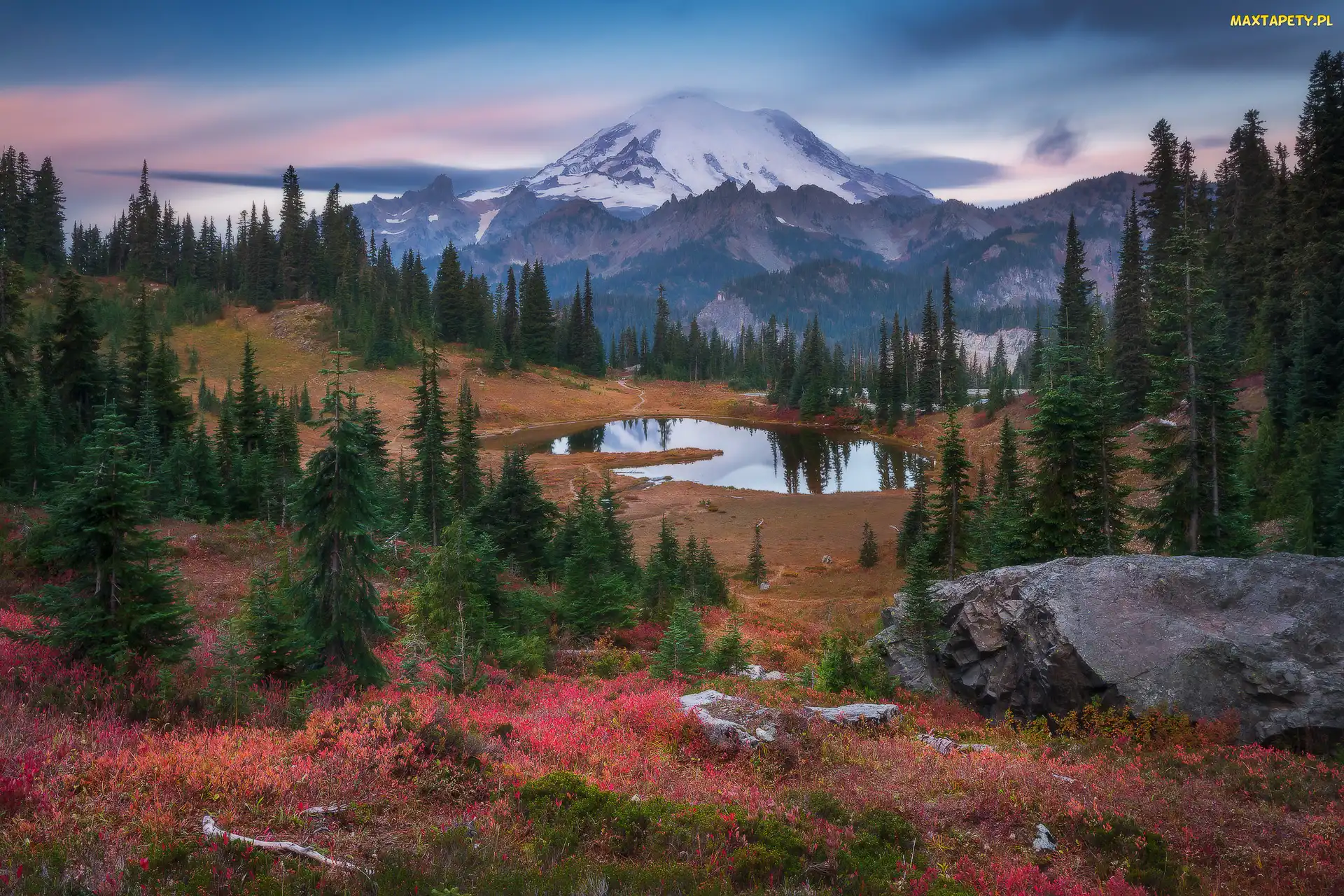 Stan Waszyngton, Jezioro Tipsoo, Góry, Stany Zjednoczone, Drzewa, Park Narodowy Mount Rainier, Stratowulkan Mount Rainier