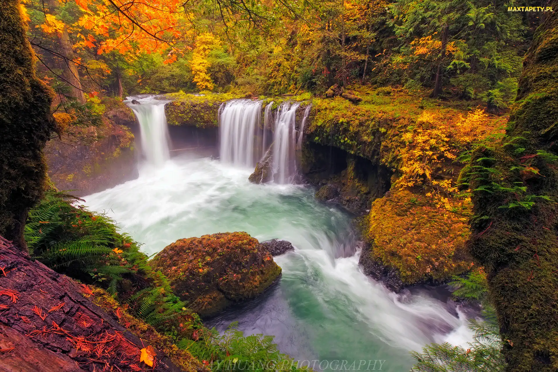 Rzeka White Salmon River, Oregon, Skały, Stany Zjednoczone, Jesień, Krzewy, Wodospad Spirit Falls, Rezerwat przyrody Columbia River Gorge, Drzewa
