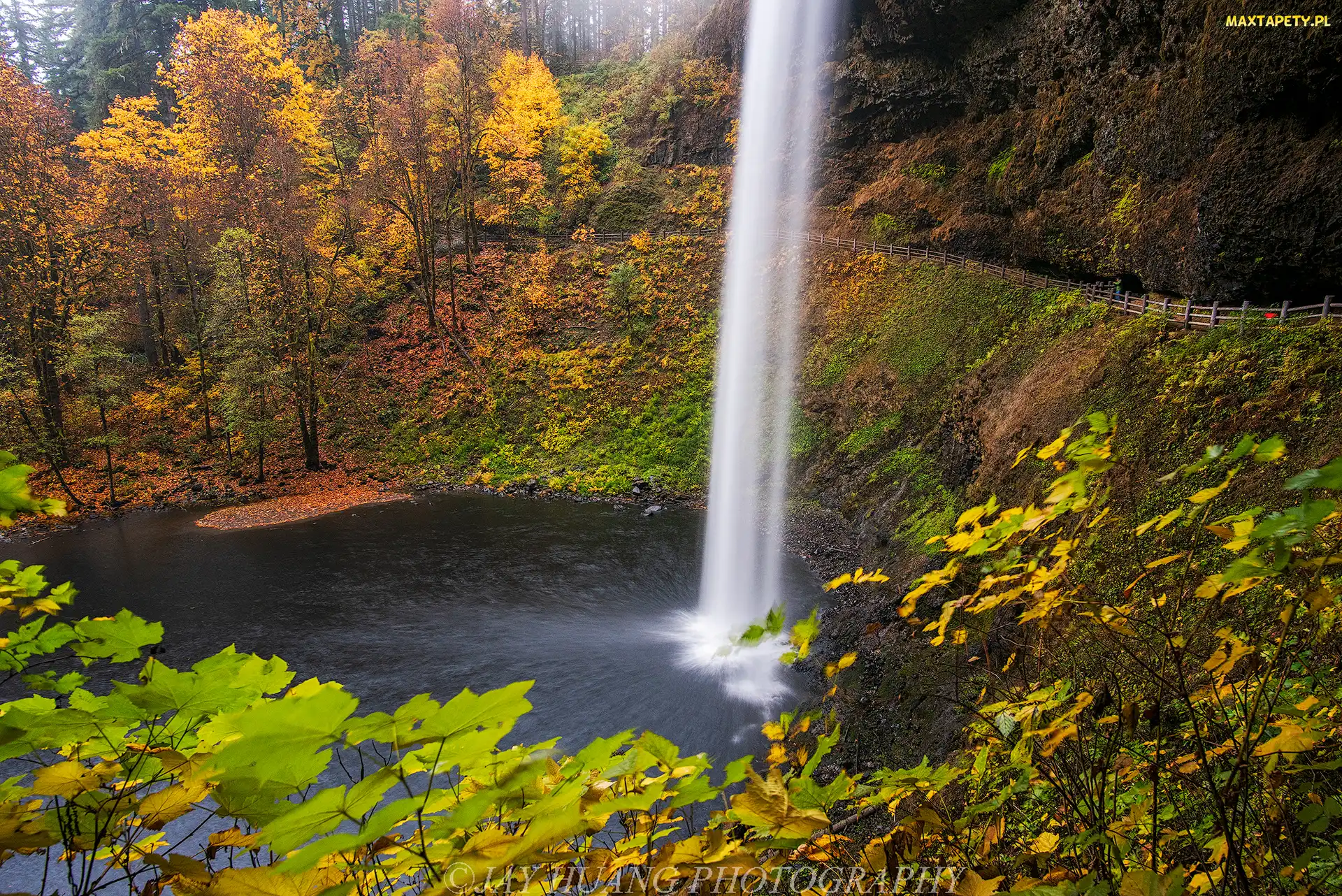 Las, Punkt widokowy, Wodospad South Falls, Jesień, Oregon, Drzewa, Stany Zjednoczone, Park miejski Silver Falls