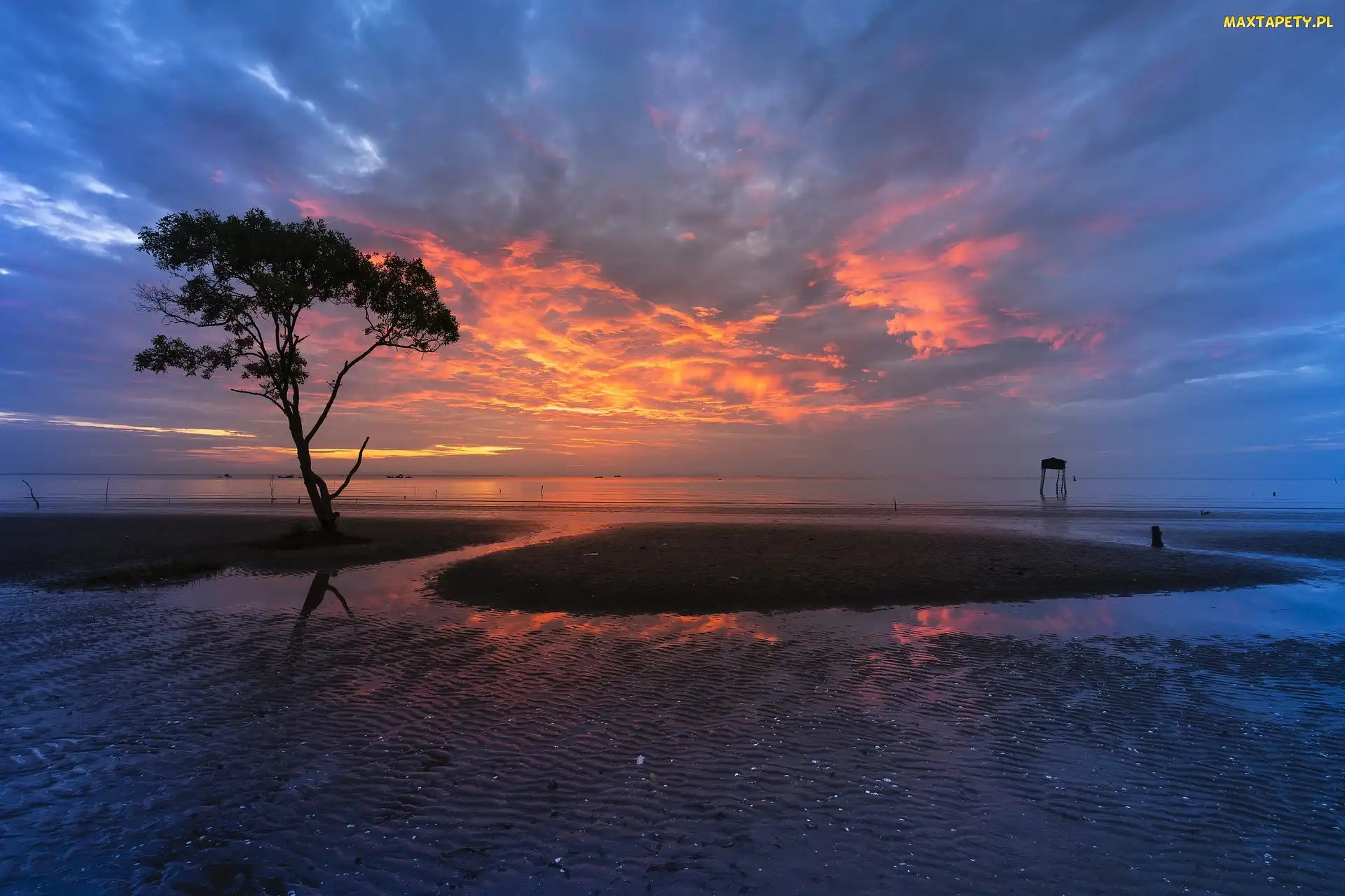 Drzewo, Chmury, Zachód słońca, Plaża, Niebo, Morze, Kolorowe