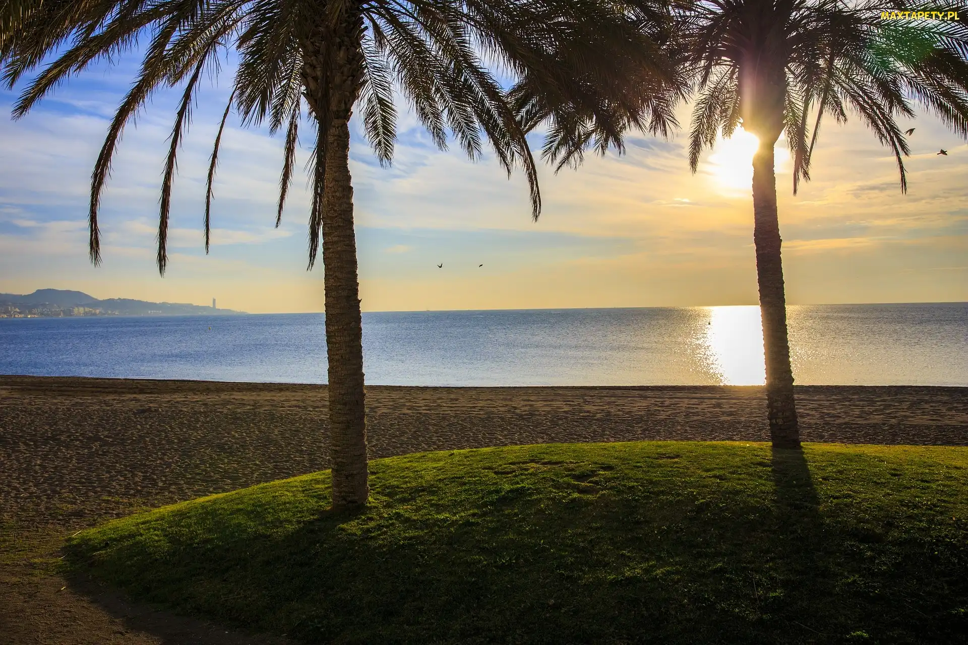 Palmy, Costa del Sol, Region, Hiszpania, Turystyczny, Malaga, Wschód słońca, Plaża, Morze Śródziemne