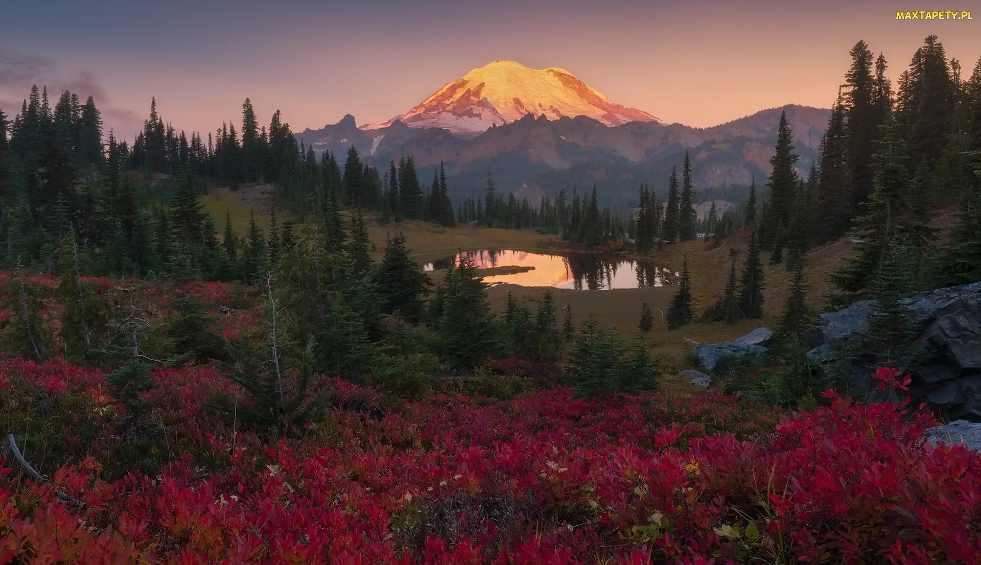 Stan Waszyngton, Jezioro Tipsoo, Stratowulkan Mount Rainier, Stany Zjednoczone, Drzewa, Park Narodowy Mount Rainier, Góry