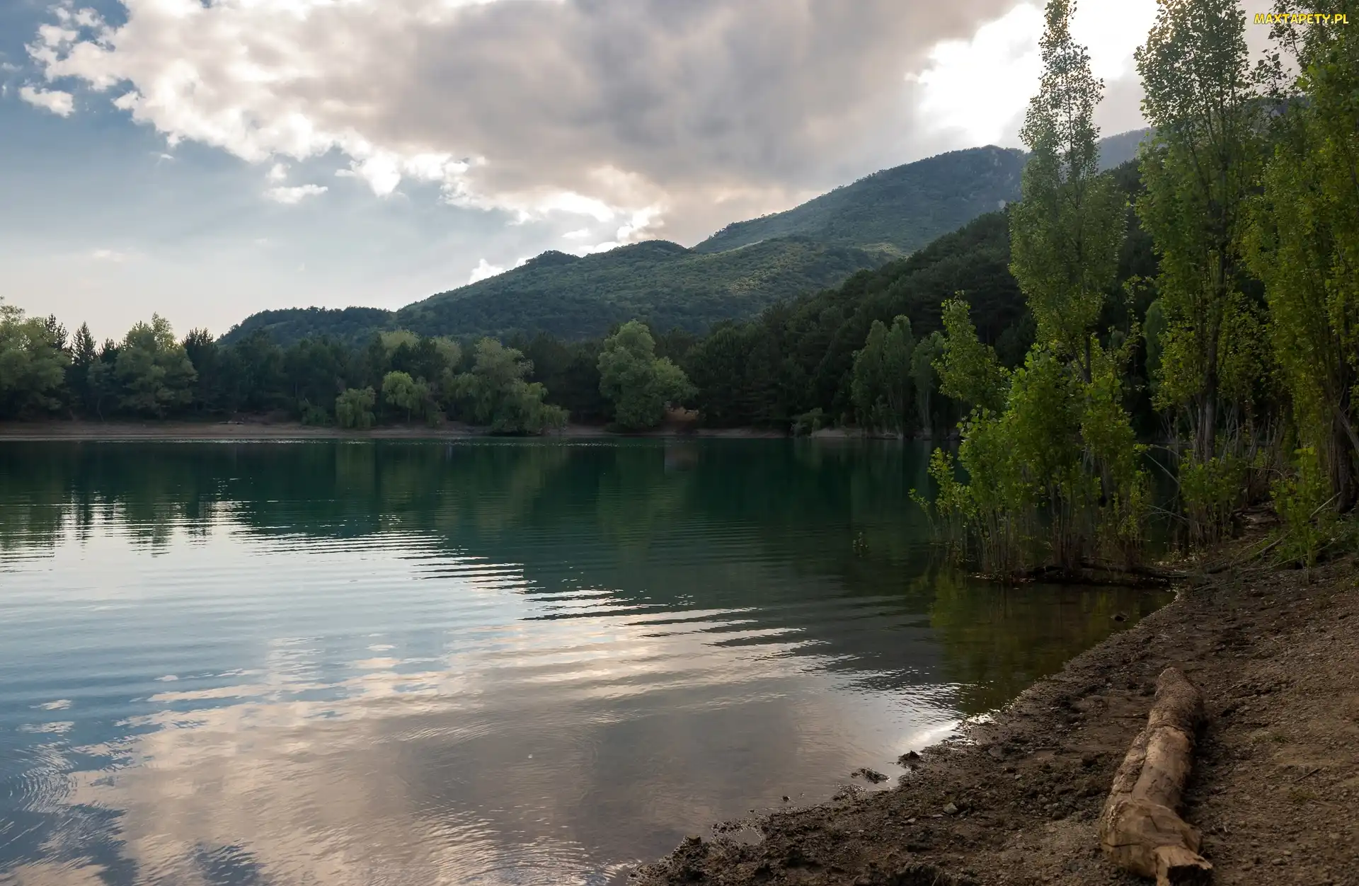 Drzewa, Góry, Jezioro, Zalesione