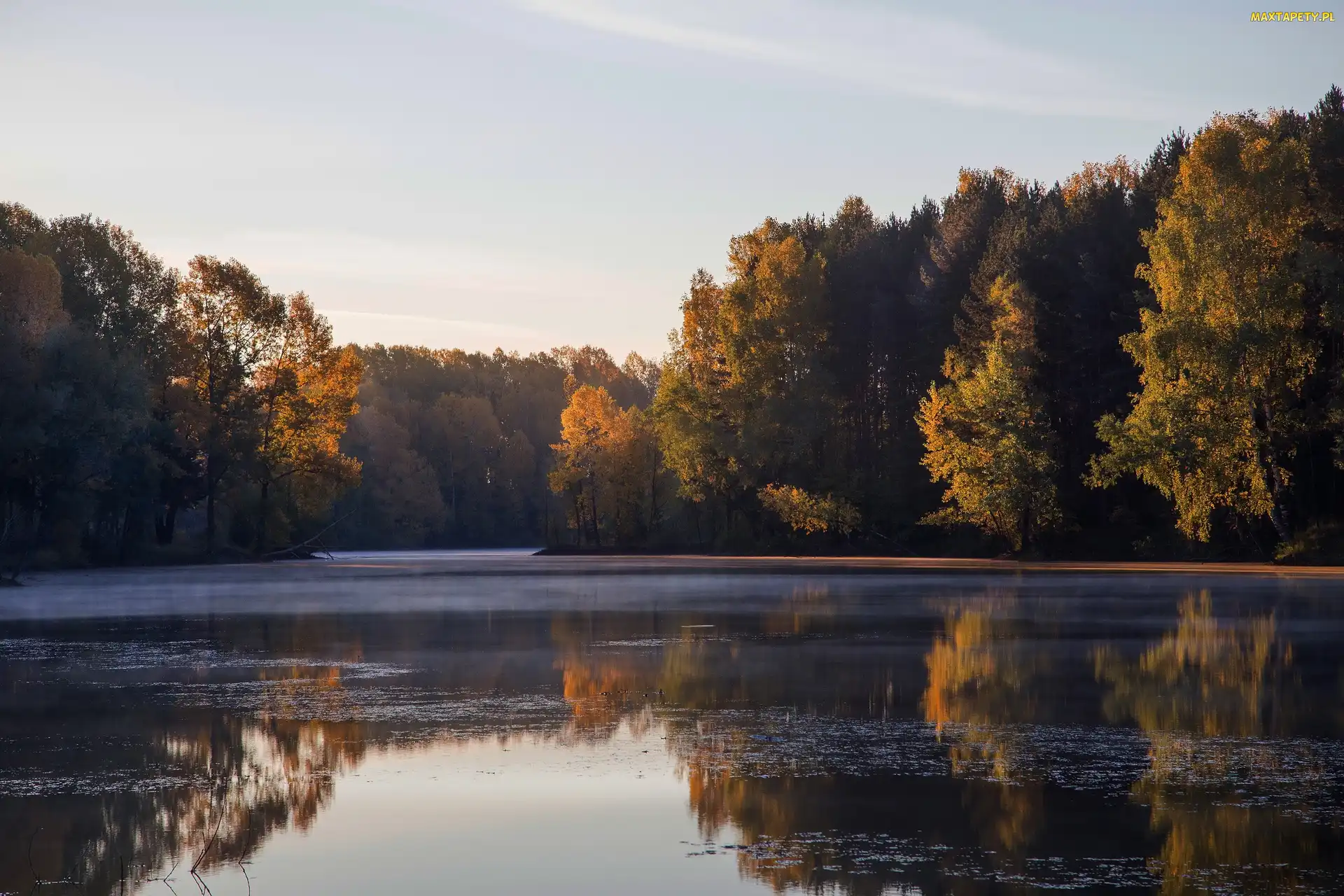 Jezioro, Drzewa, Jesień, Las