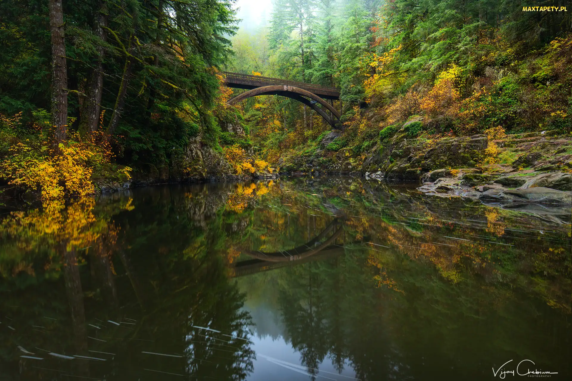 Stany Zjednoczone, Stan Waszyngton, Rzeka Lewis River, Las, Most Moulton Falls Bridge, Skały