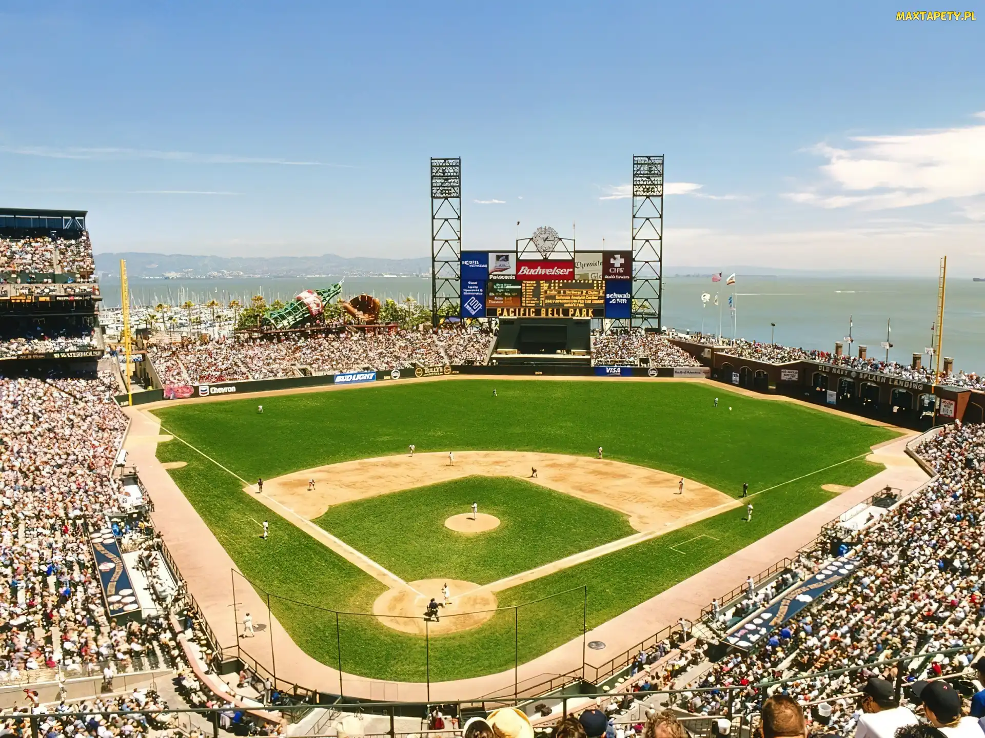 Baseball, Stadion