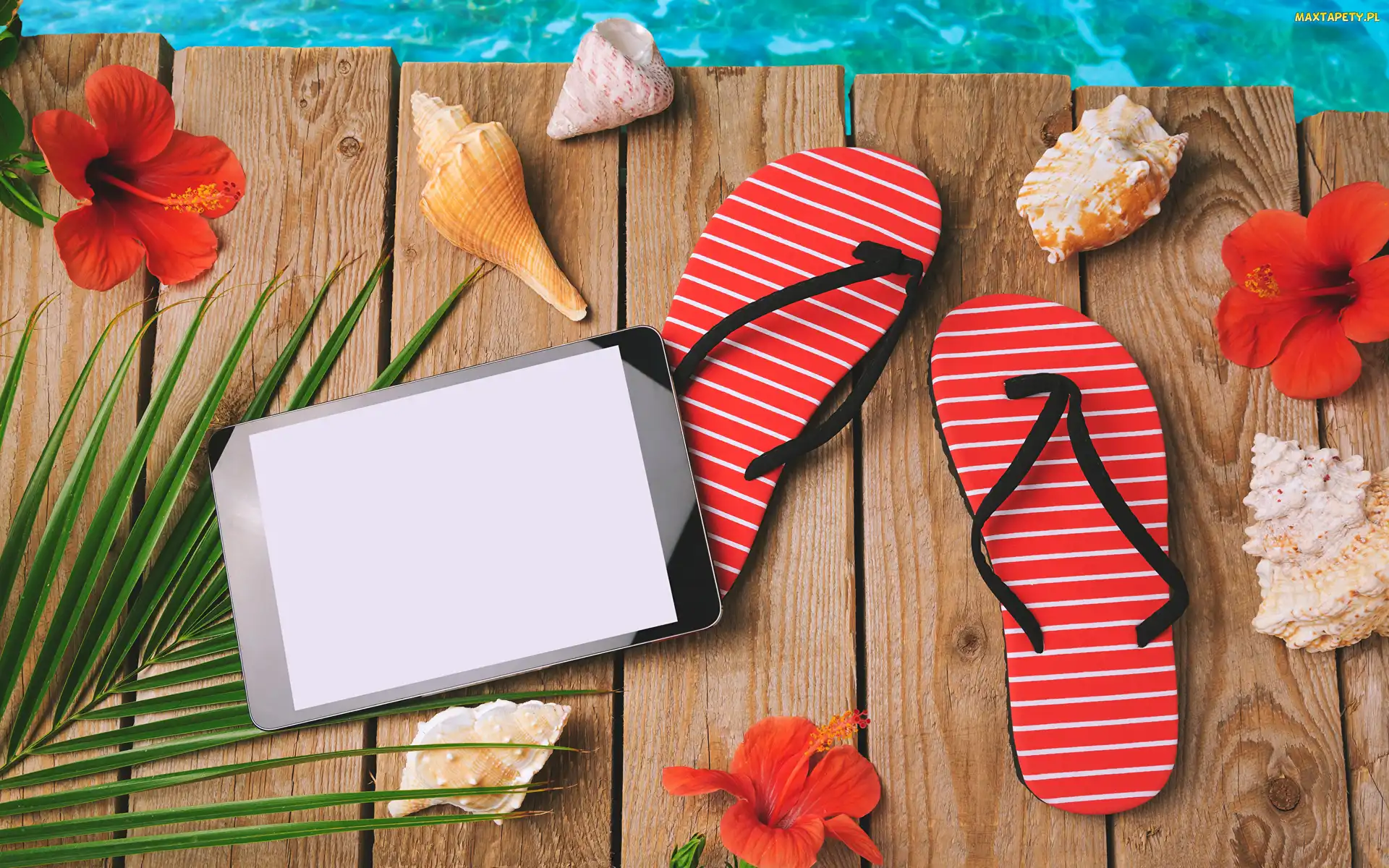 Wakacje, Tablet, Kwiaty, Muszelki, Hibiskus, Klapki
