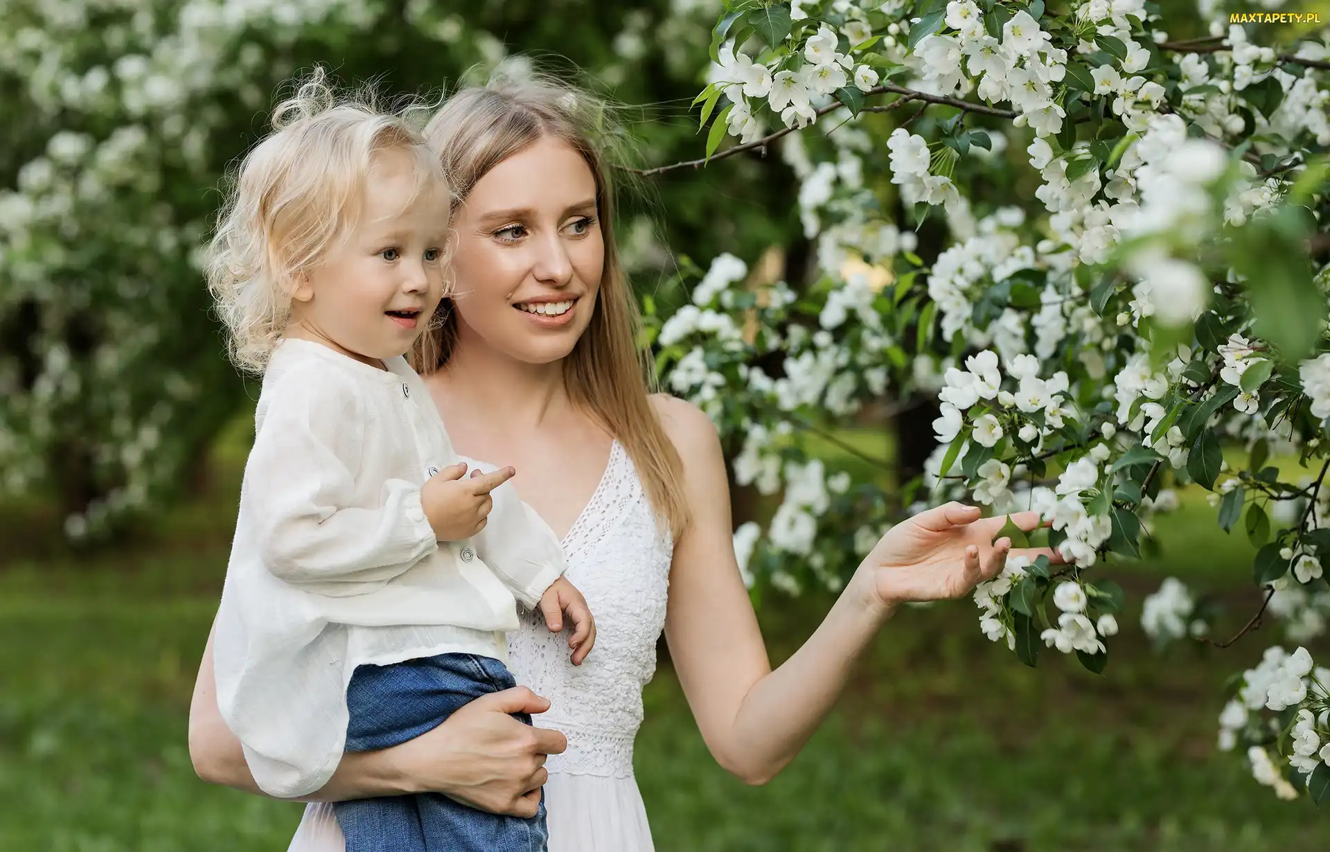 Mama, Drzewo owocowe, Gałązki, Dziecko, Kobieta