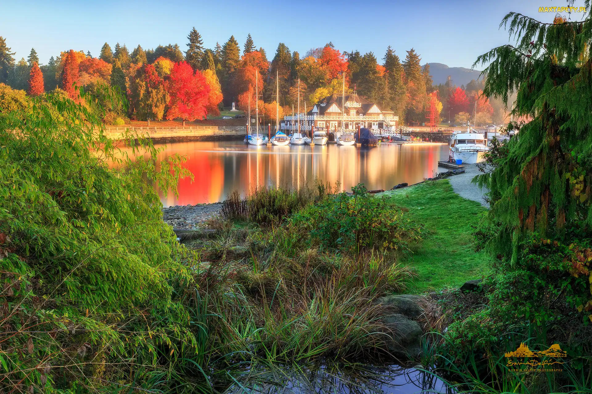 Kanada, Jesień, Royal Vancouver Yacht Club, Żaglówki, Drzewa, Stanley Park, Vancouver, Kolumbia Brytyjska, Zatoka