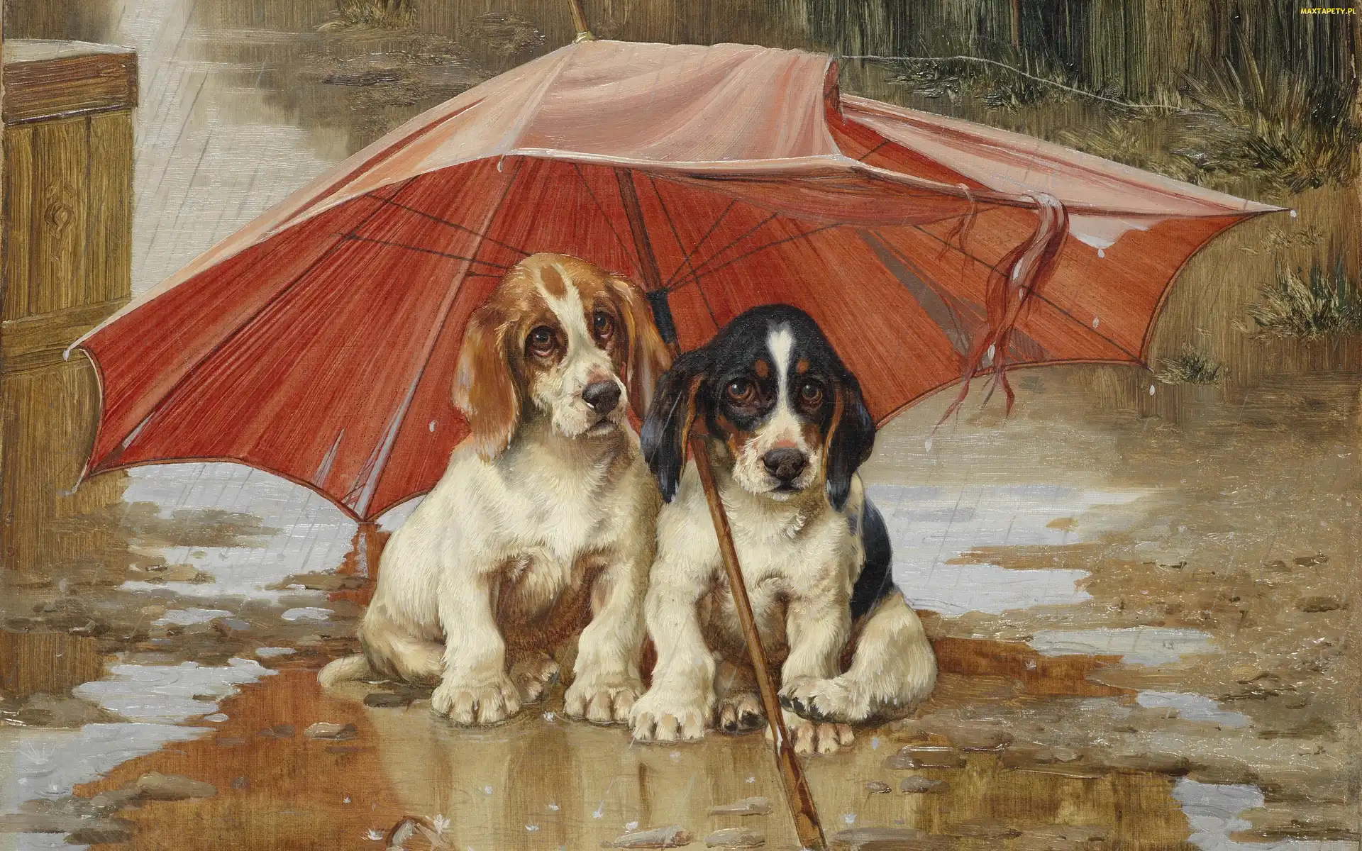 Parasol, Deszcz, Obraz, Kałuża, Psy, Malarstwo, Wiliam Henry Hamilton Trood