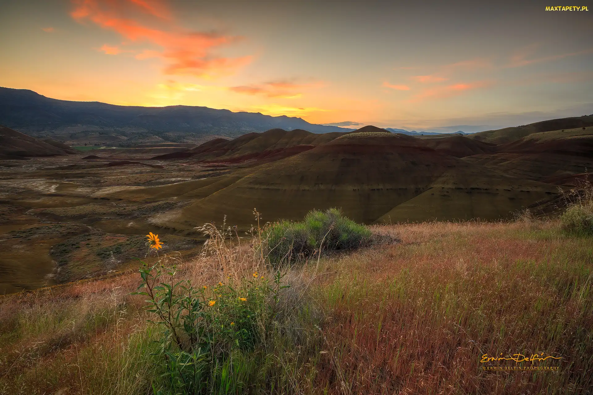 Stan Oregon, Park Narodowy John Day Fossil Beds National Monument, Góra Painted Hills, Stany Zjednoczone, Wschód słońca, Góry, Roślinność