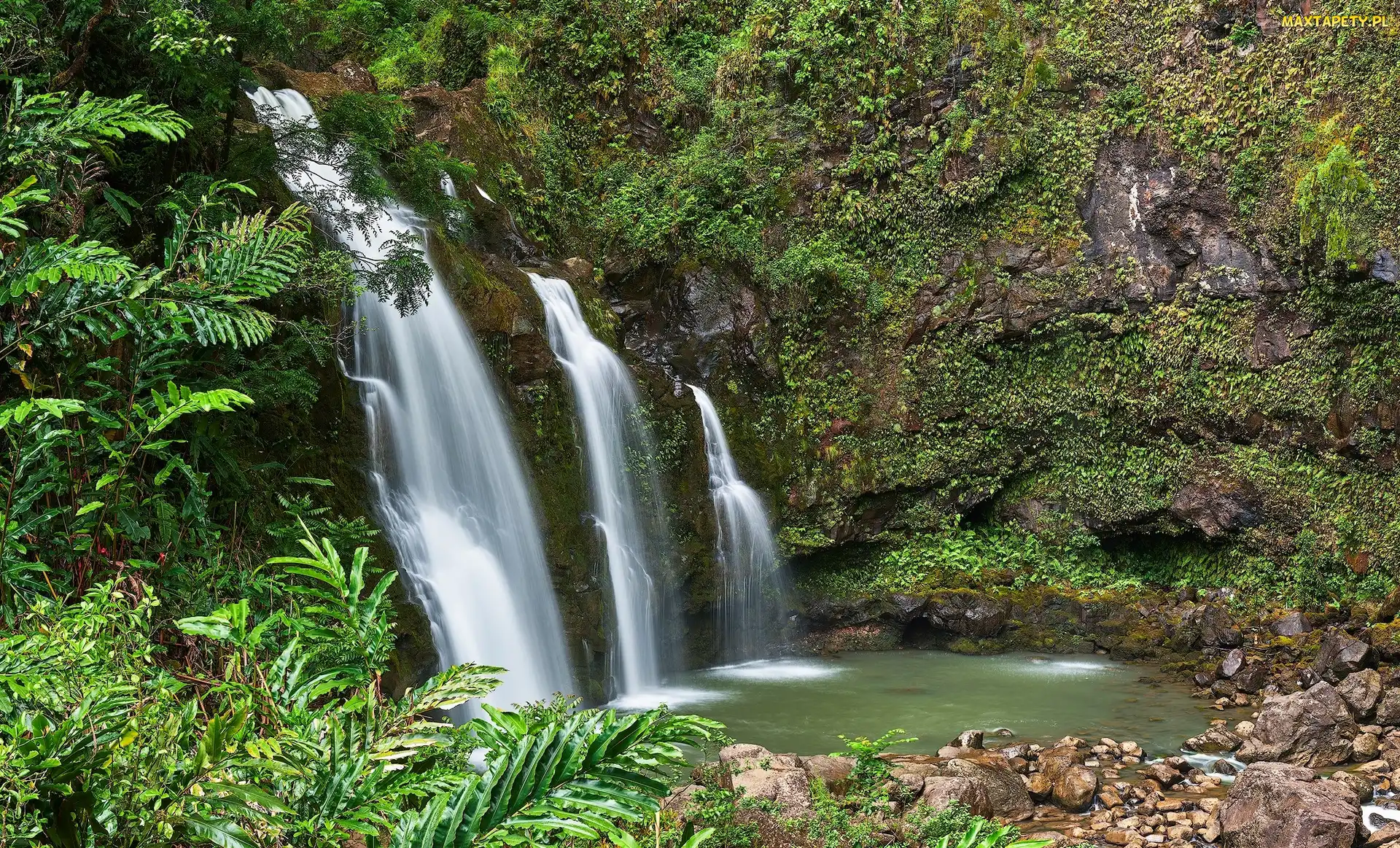 Wodospad Upper Waikani Falls, Las, Hawaje, Drzewa, Roślinność, Maui, Skały