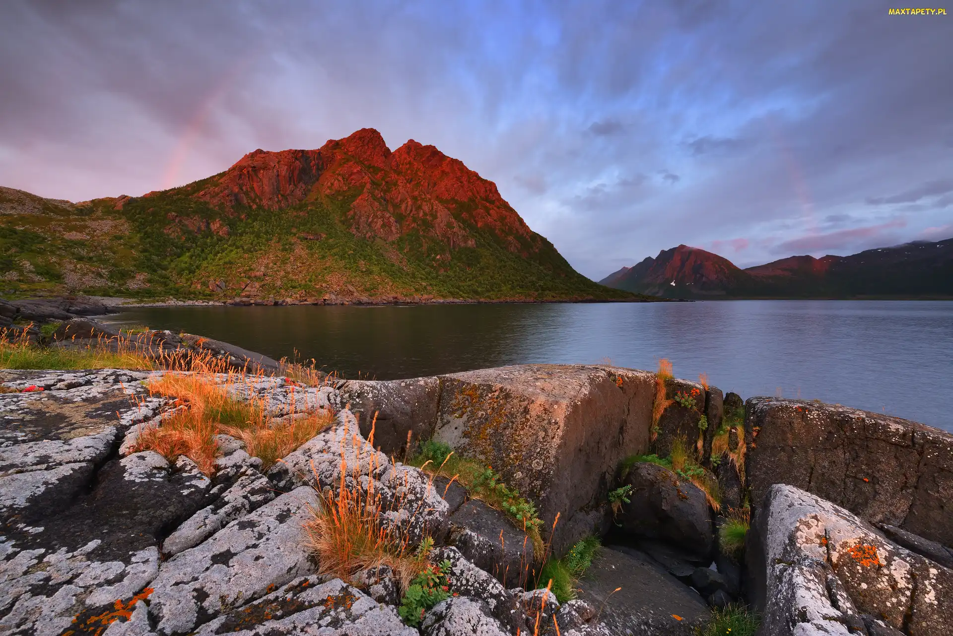 Morze, Skały, Norwegia, Roślinność, Wyspa Senja, Góry