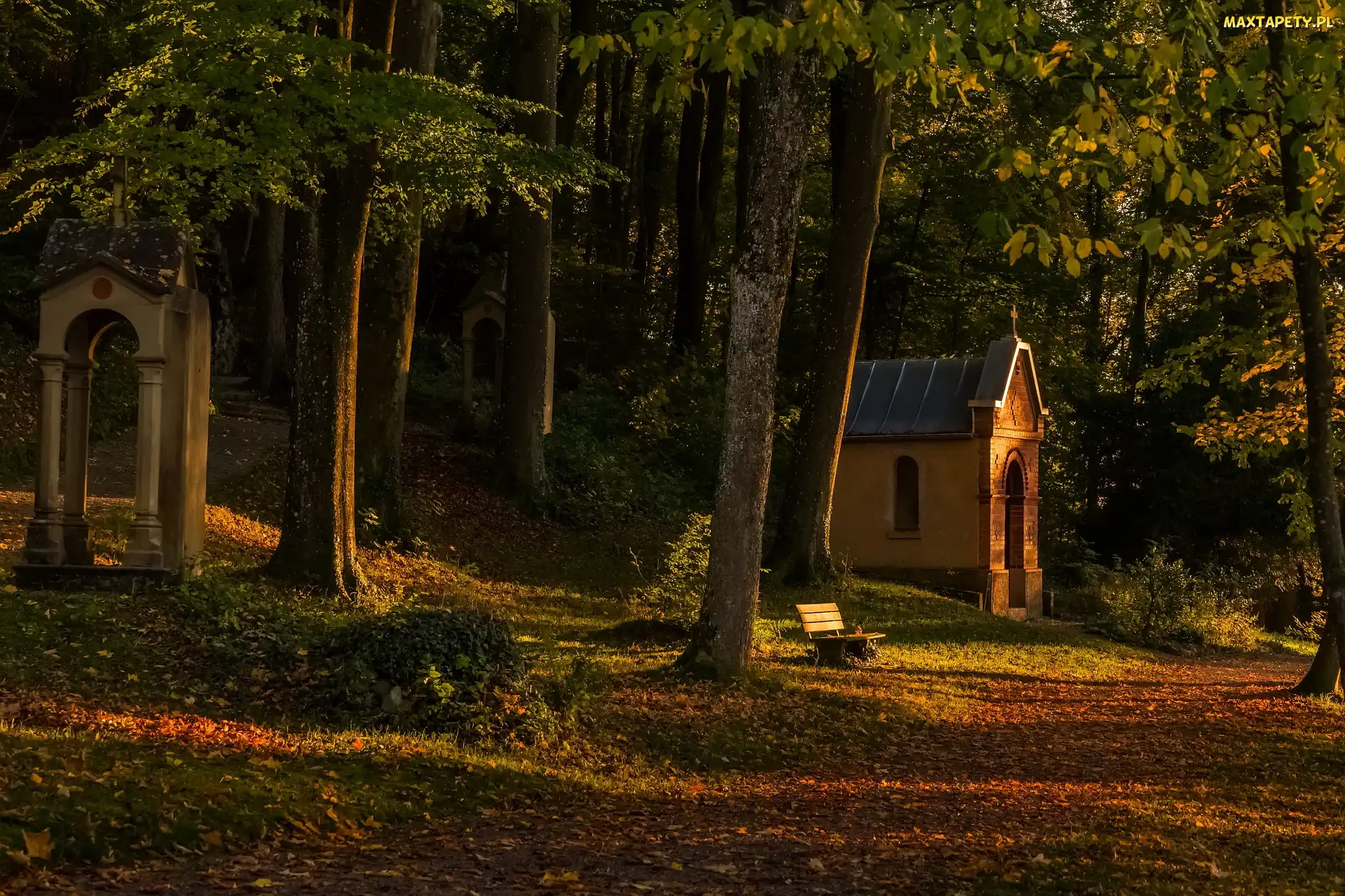 Kaplica, Ławeczka, Las, Drzewa
