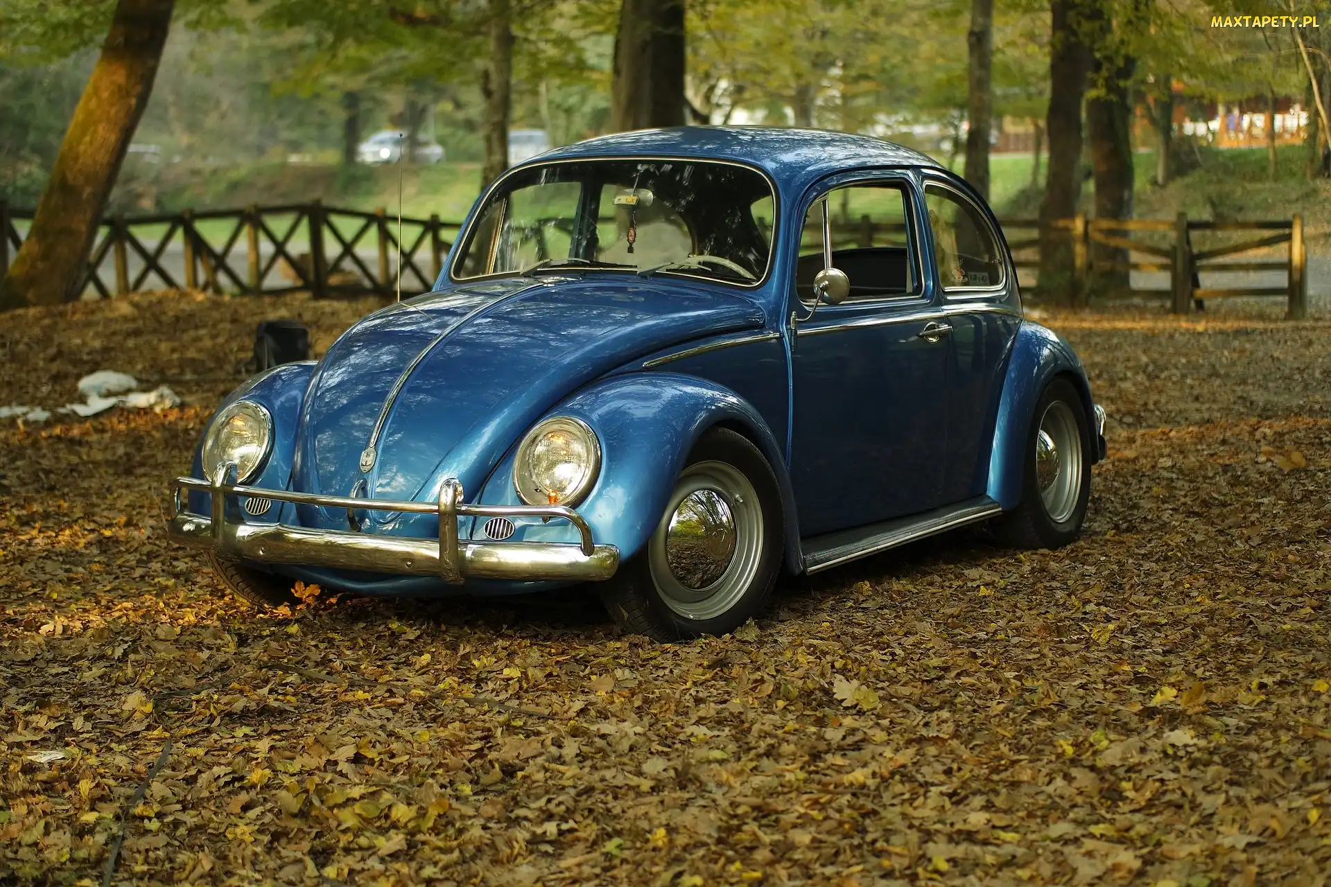 Garbus, Park, Volkswagen Beetle