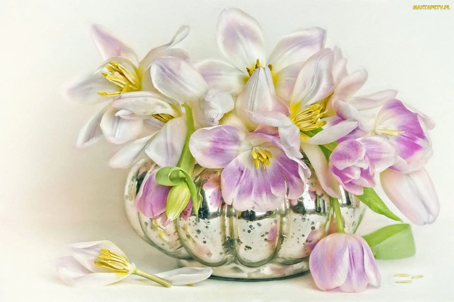 Wazon, Grafika, Kwiaty, Tulipany, Bukiet