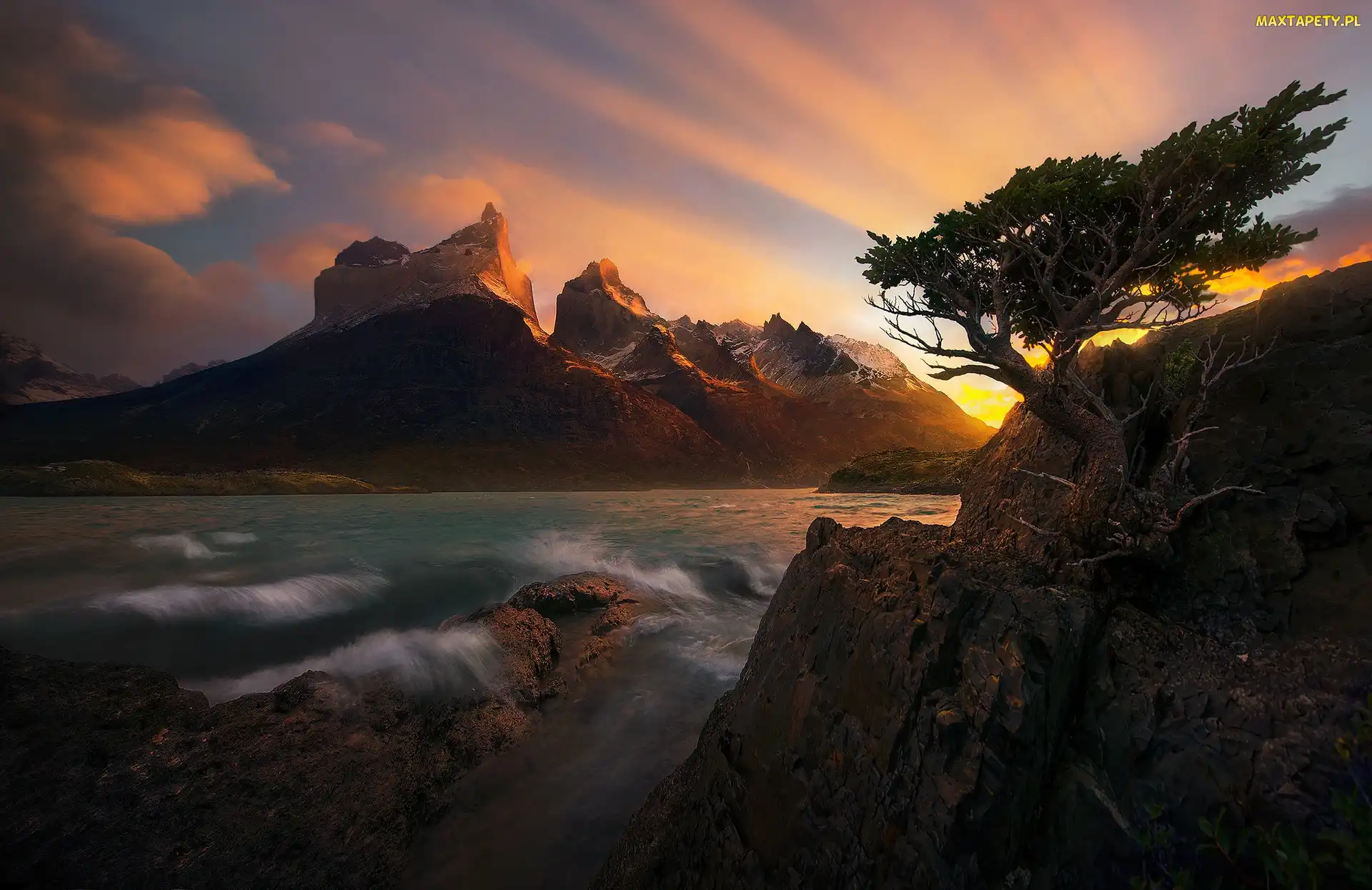 Góry Cordillera del Paine, Skała, Park Narodowy Torres Del Paine, Rzeka, Patagonia, Masyw Torres del Paine, Chile, Drzewo