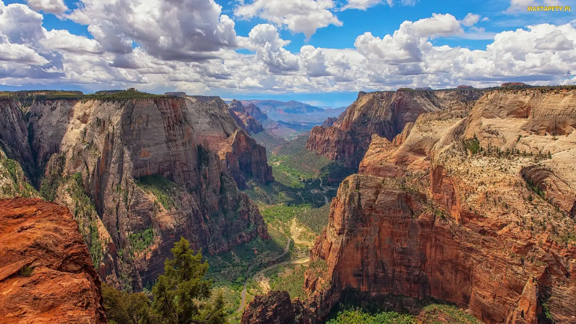 Rośliny, Kanion, Góry, Stany Zjednoczone, Wąwóz, Park Narodowy Zion, Stan Utah, Zion Canyon