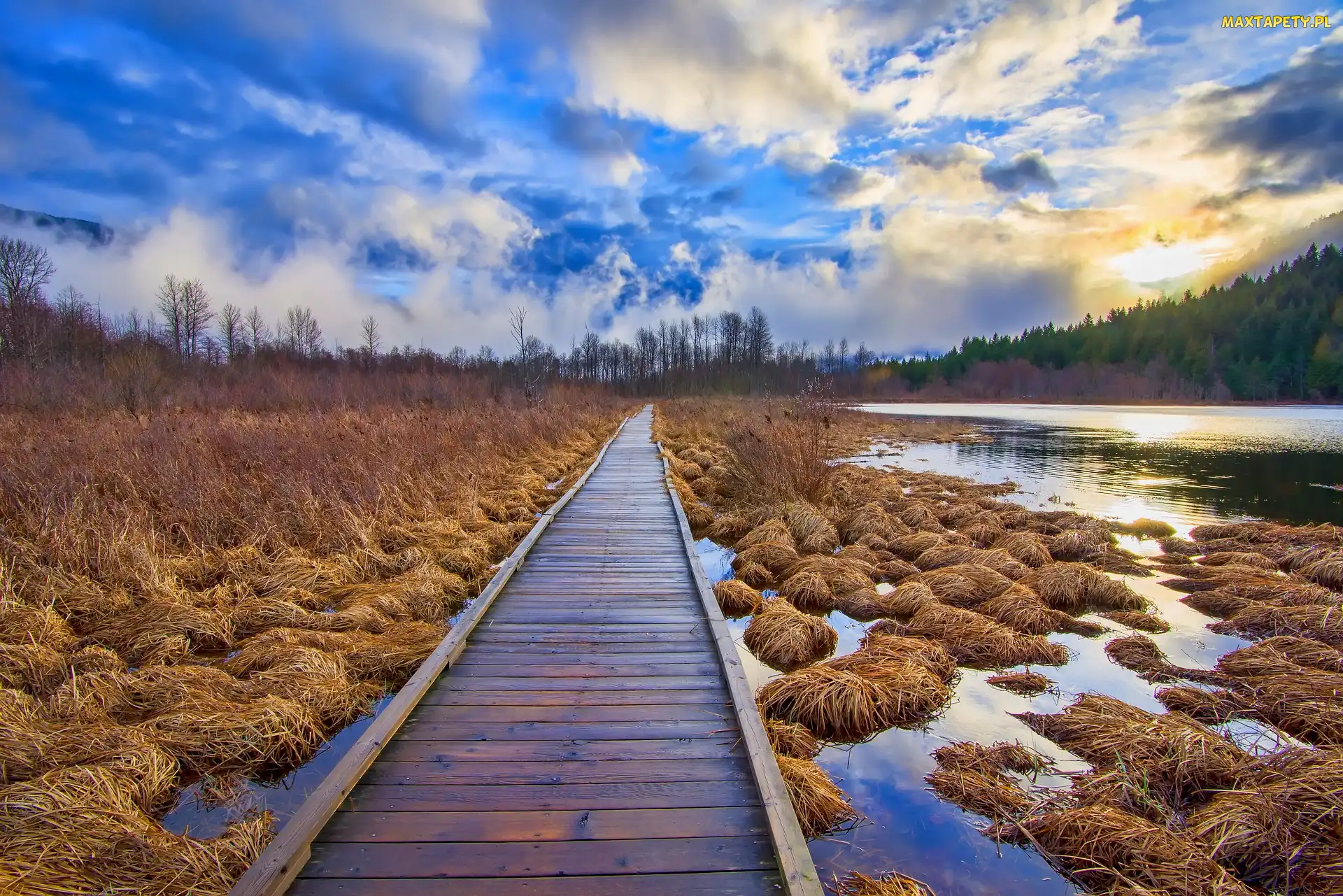 Kolumbia Brytyjska, Pemberton, Pomost, Kanada, Traw, Jezioro One Mile Lake, Kępki