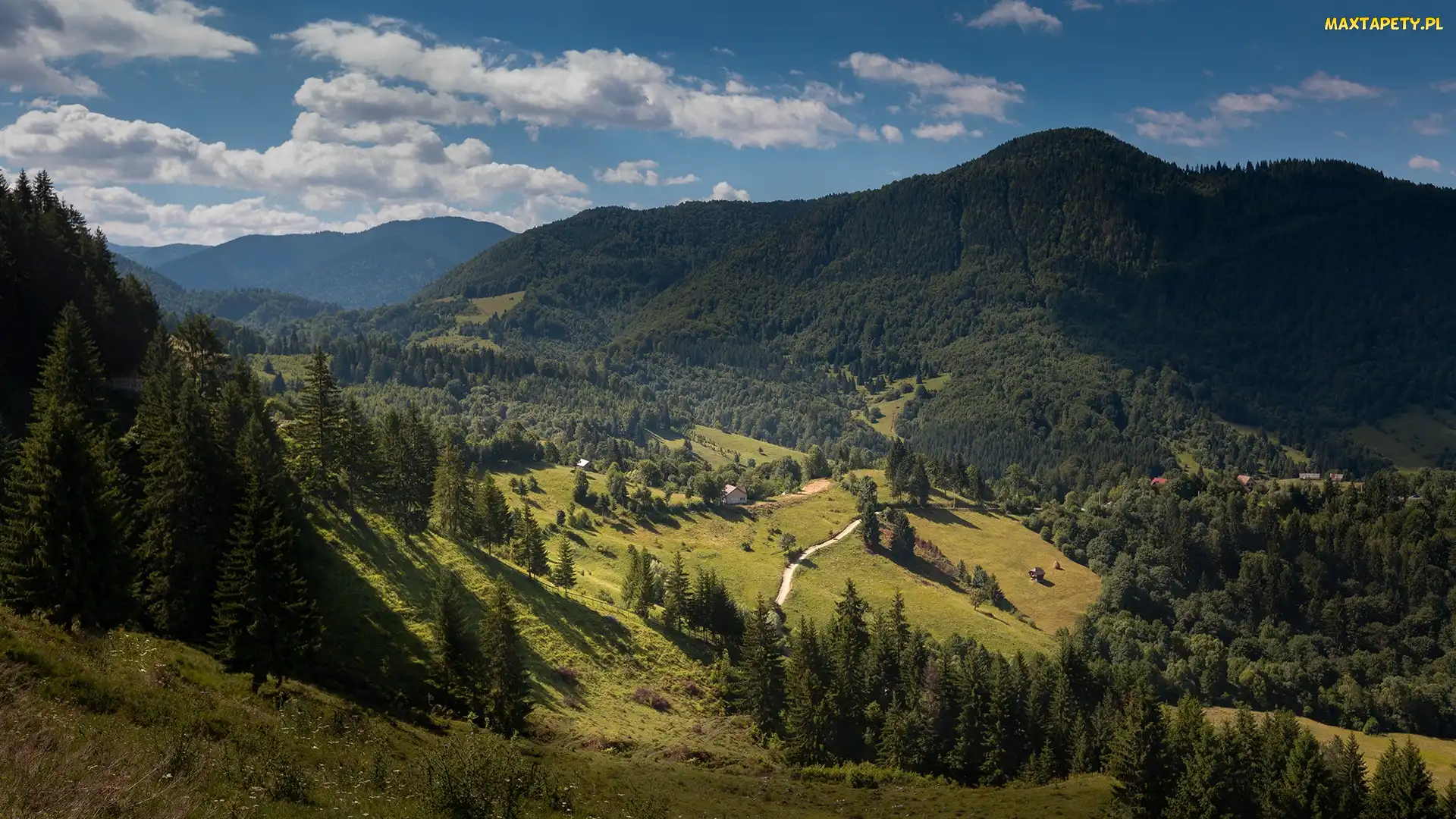 Droga, Drzewa, Góry, Dolina
