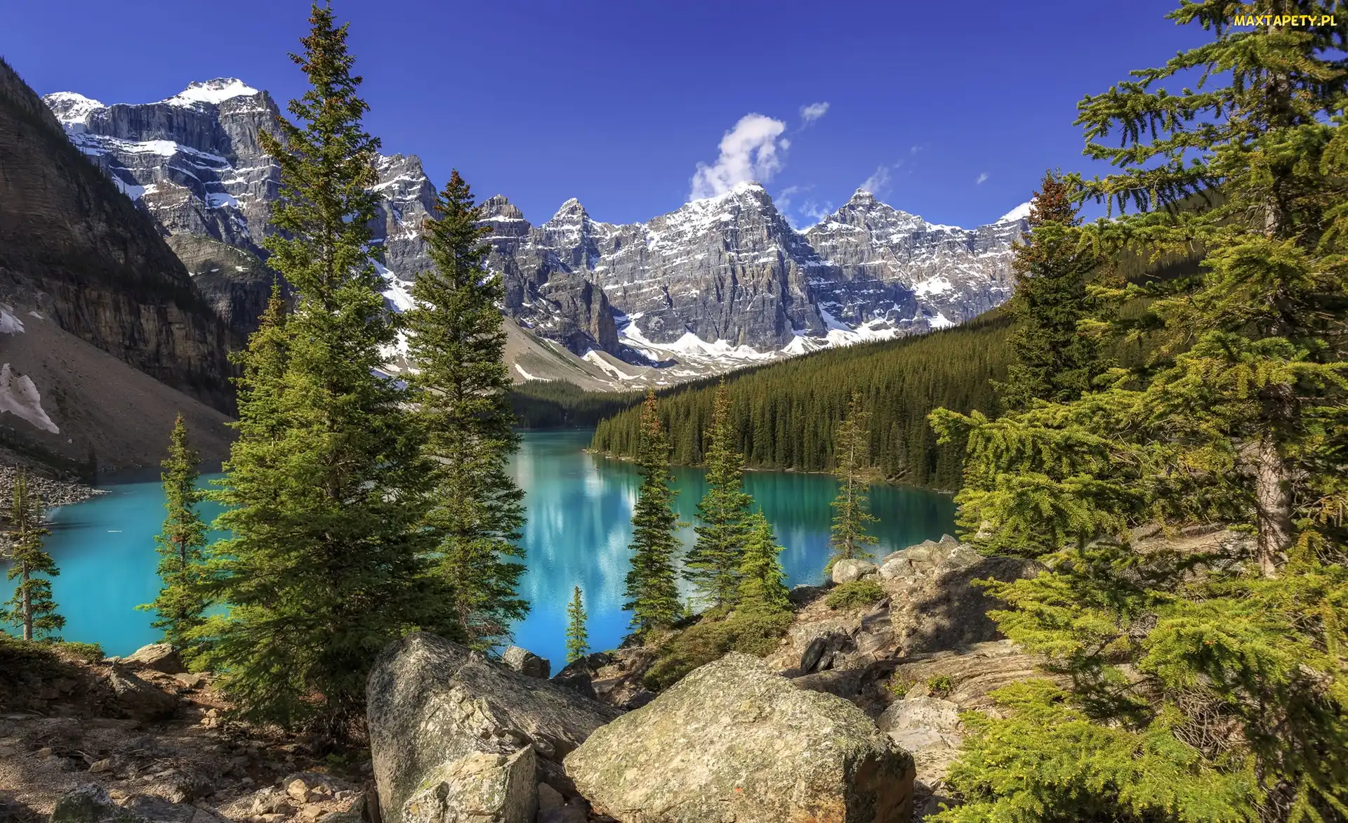 Alberta, Góry, Jezioro Moraine, Kanada, Drzewa, Park Narodowy Banff, Las