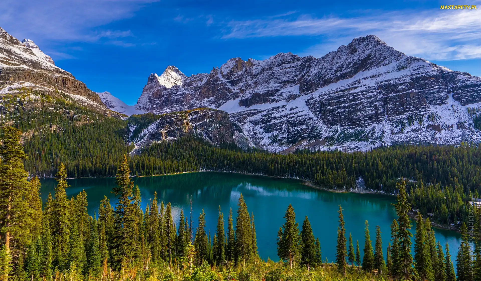 Kanada, Prowincja Kolumbia Brytyjska, Las, Góry, Jezioro O Hara, Park Narodowy Yoho