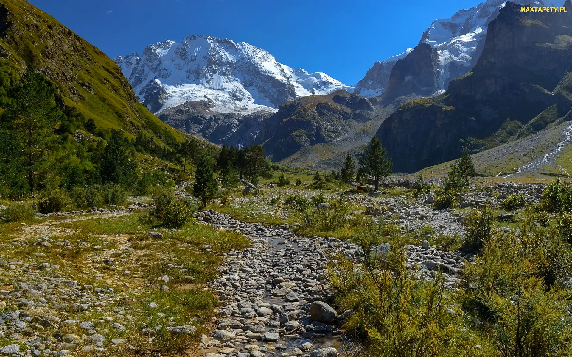 Góry, Dolina, Krzewy, Kamienie, Drzewa, Potok