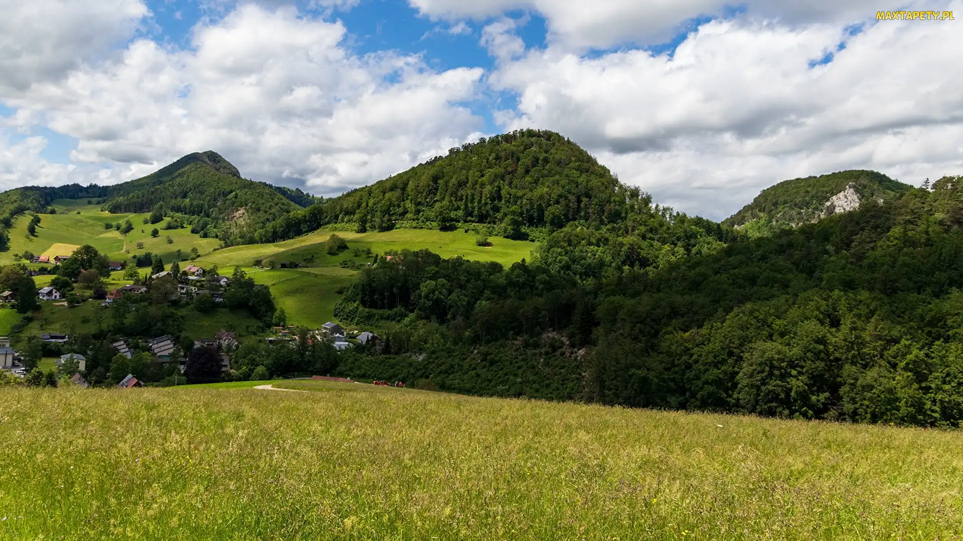 Lasy, Domy, Góry, Trawa, Kanton Bazylea-Landschaft, Łąka, Szwajcaria, Chmury