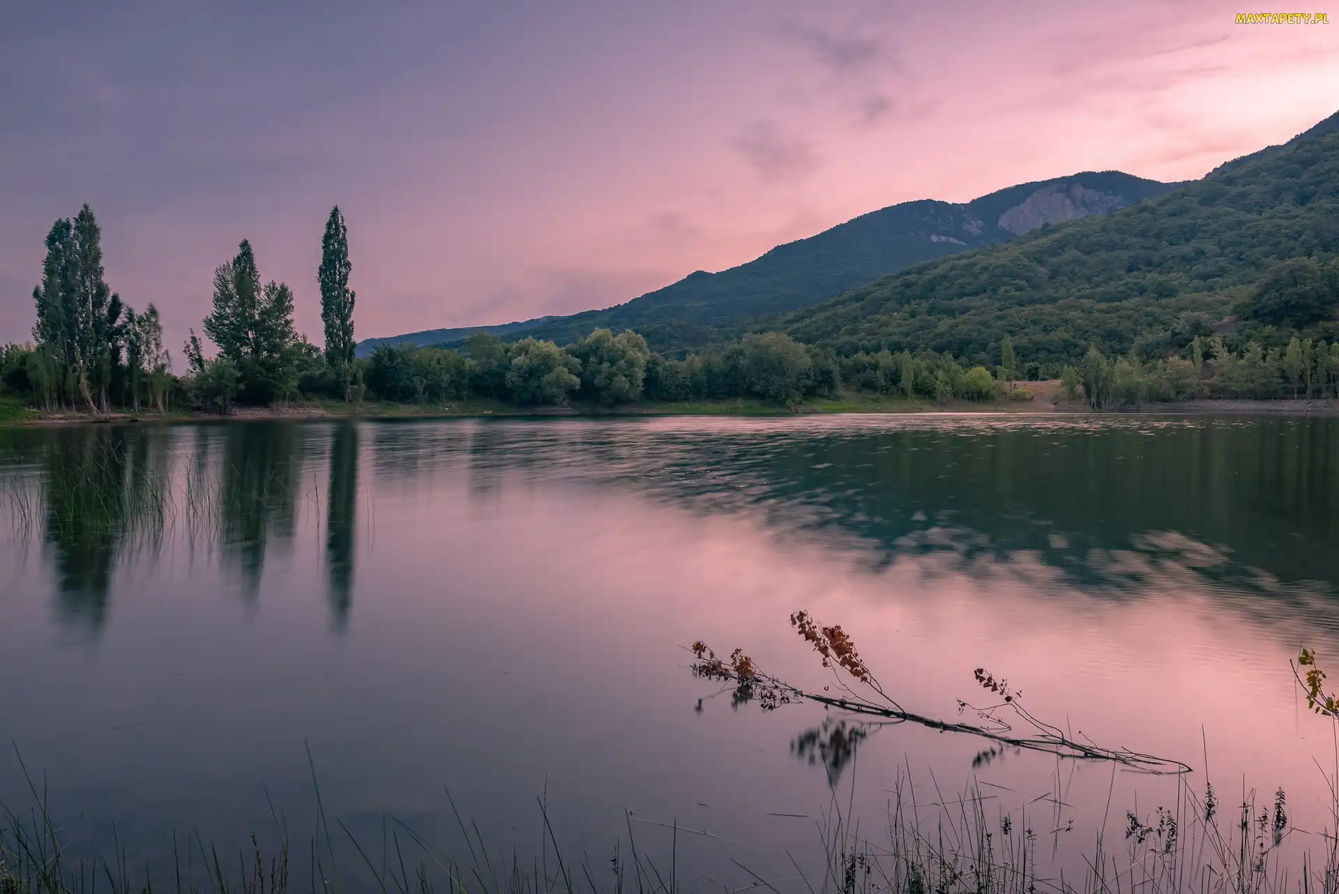 Poranek, Drzewa, Góry, Jezioro