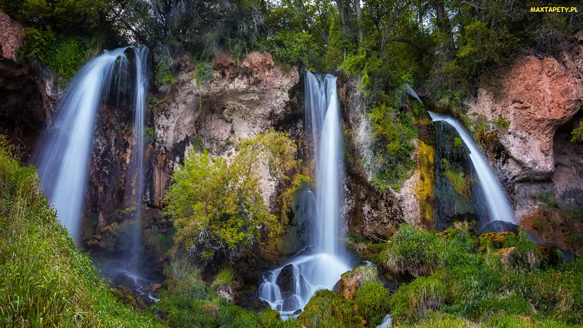 Wodospad Rifle Falls, Kolorado, Park miejski, Stany Zjednoczone, Rifle Falls State Park, Trawa, Omszałe, Skały, Drzewa