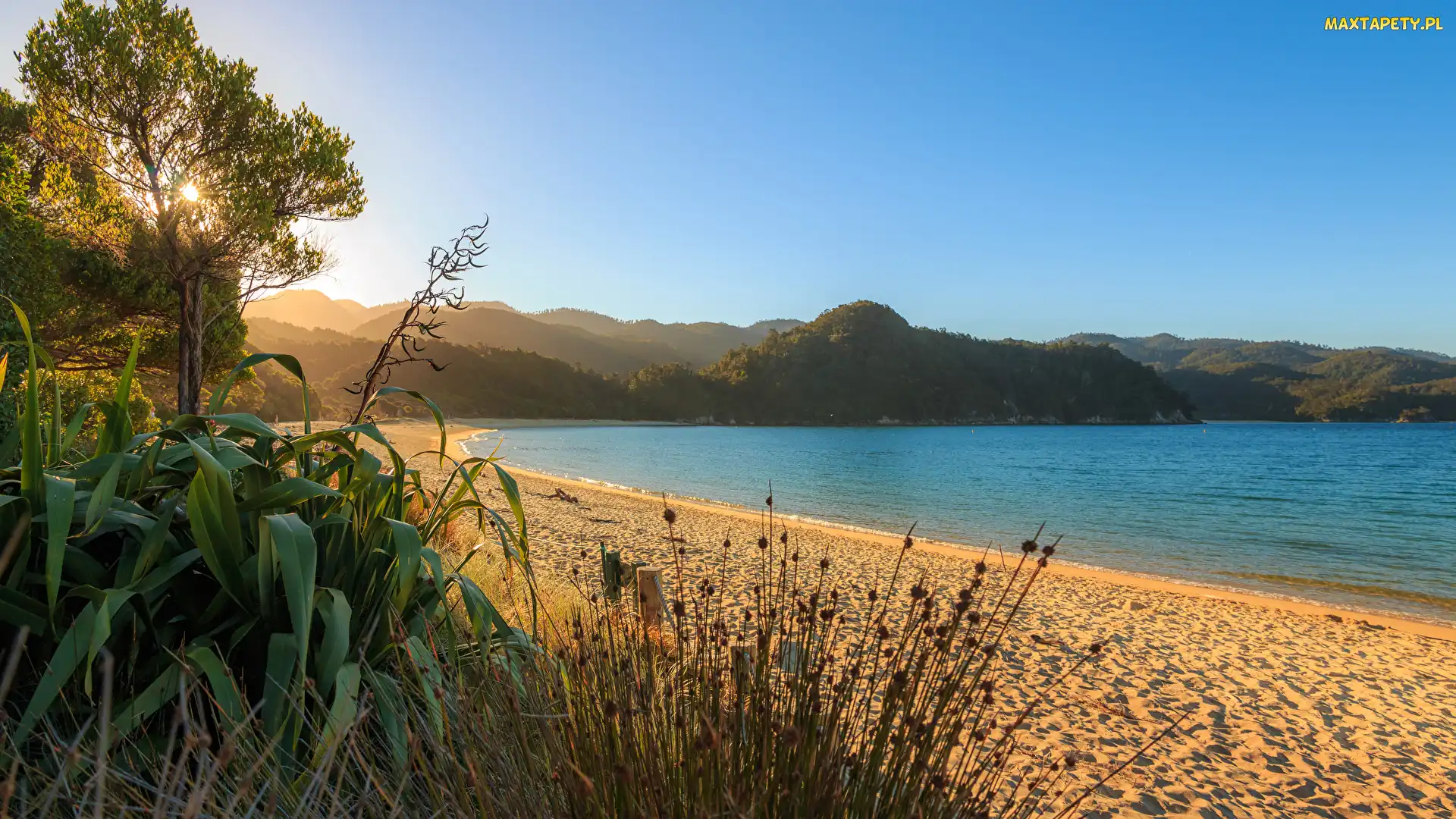 Wschód słońca, Plaża, Drzewa, Nowa Zelandia, Region Tasman, Takaka, Wyspa Południowa, Morze